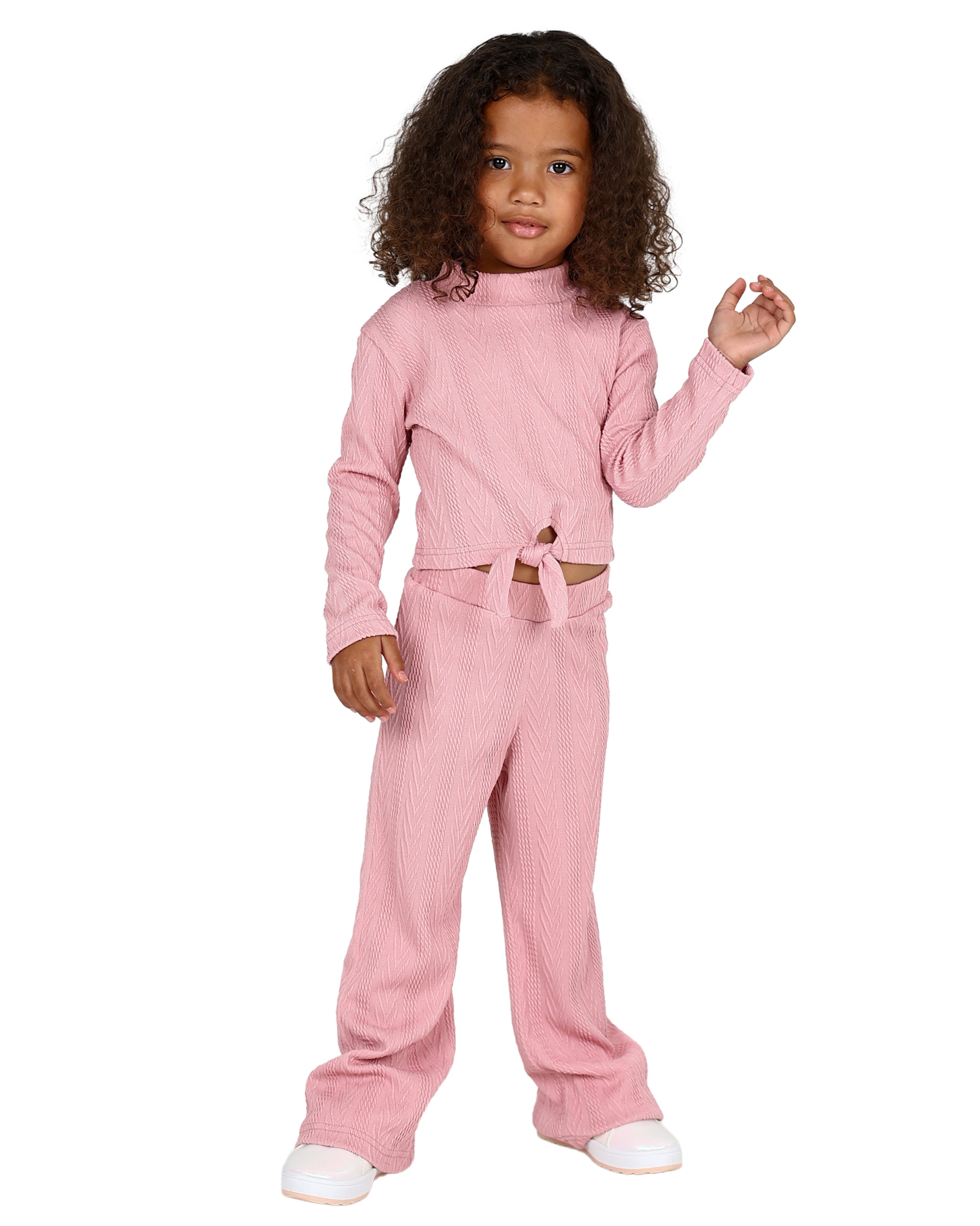 Jacquard Knit Tie Detail Long Sleeve Crop Top