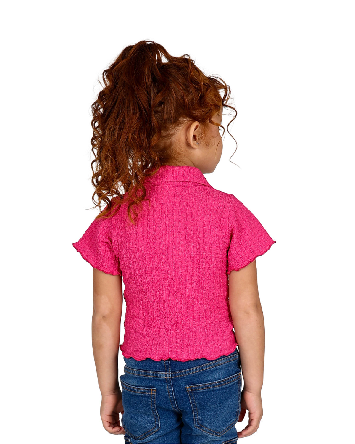 Short Sleeve Johnny Collar Textured Top