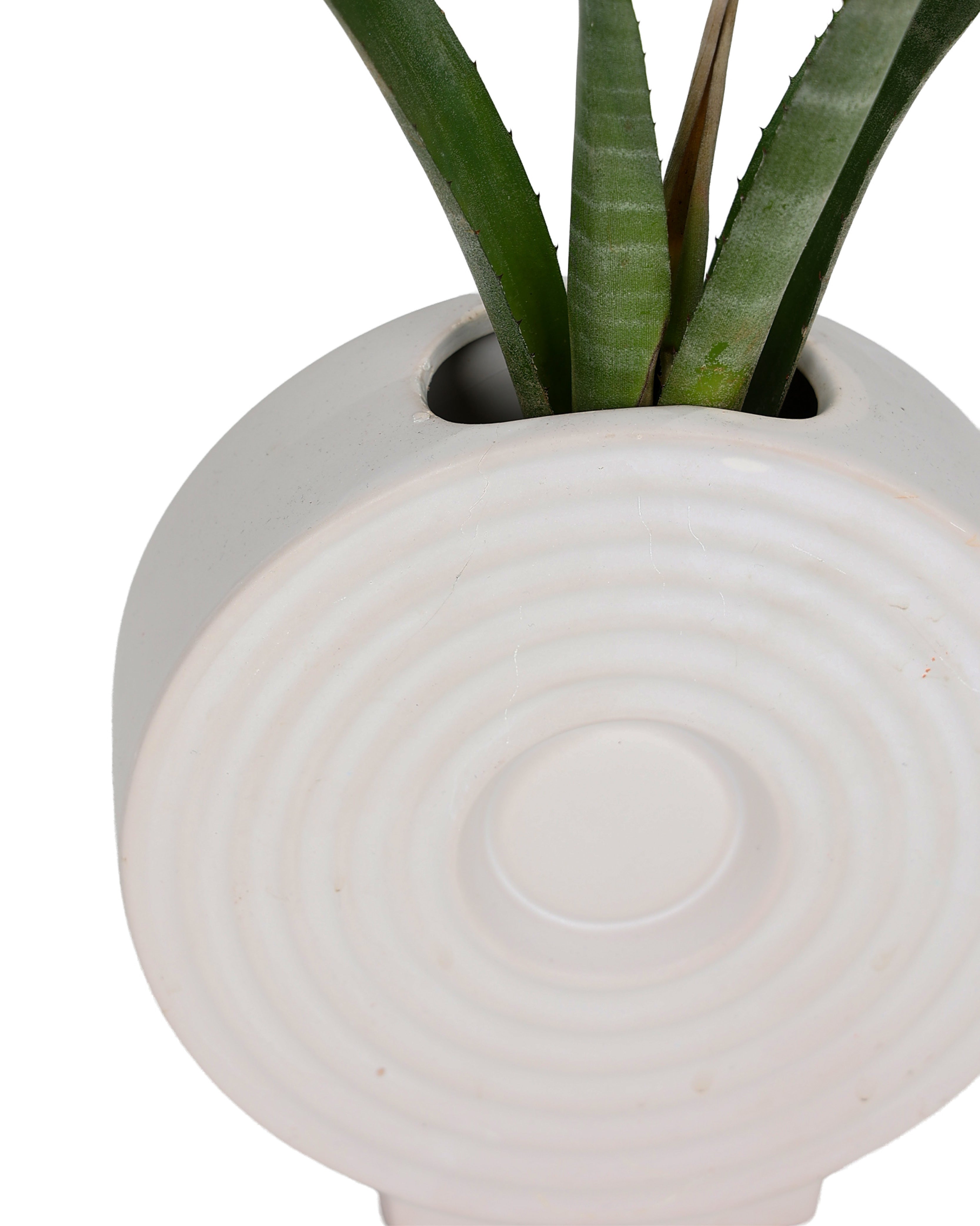 White Swirl Donut Shaped Vase