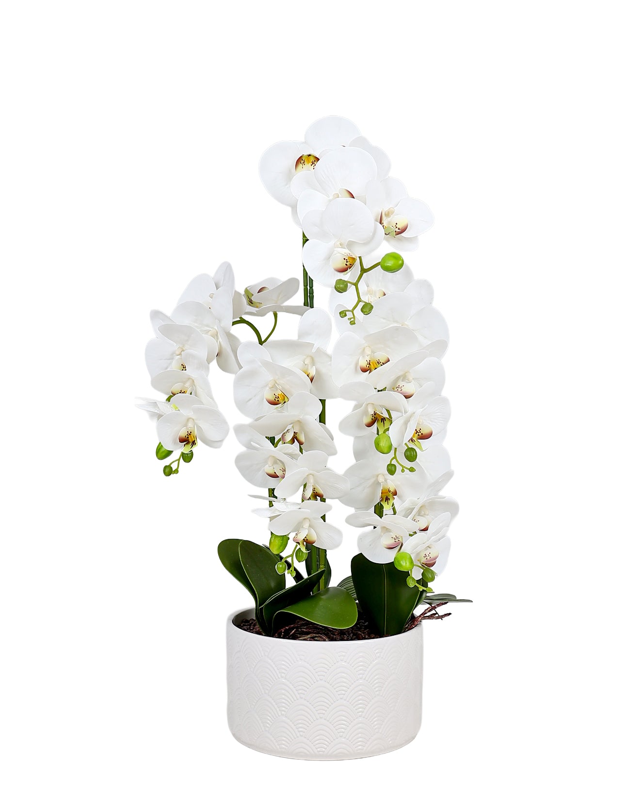 Royal Bloom Orchid 72cm