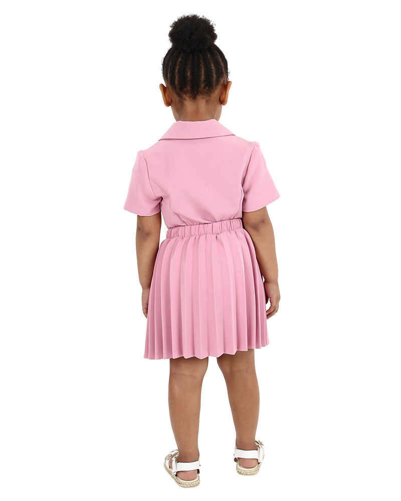 Knee Length Pleated Skirt