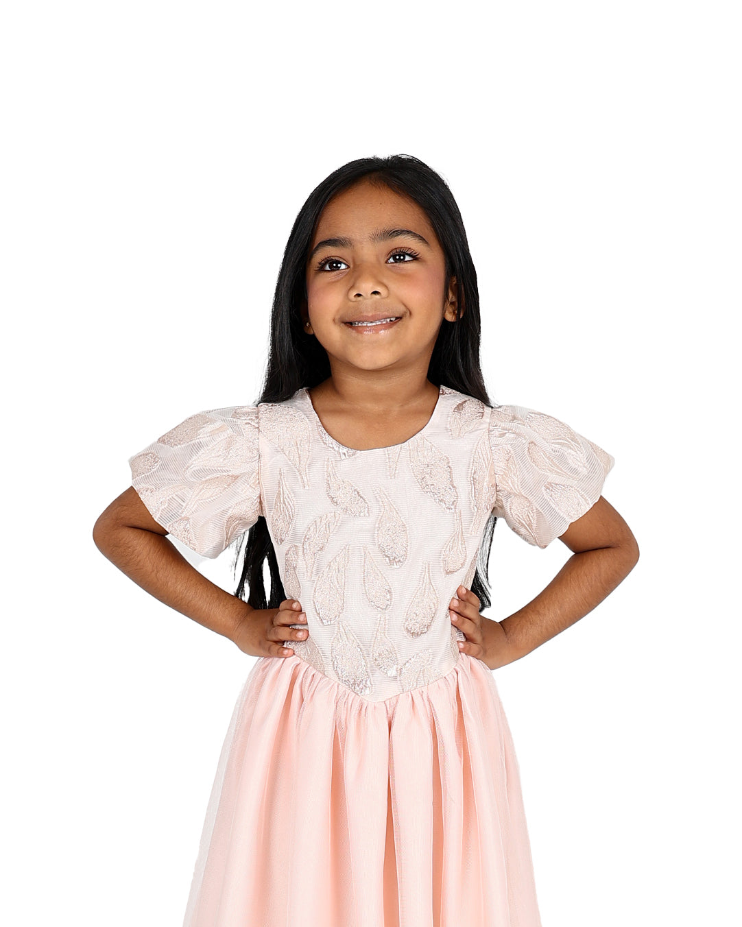 Short Sleeve Brocade Detail Tulle Party Dress