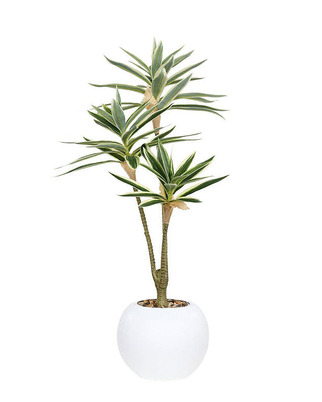 Potted Faux Dracaena 60cm