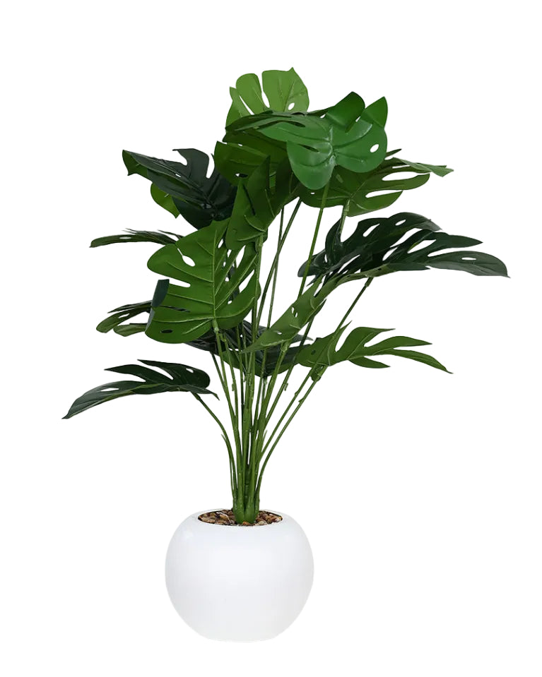 Potted Faux Monstera 70cm