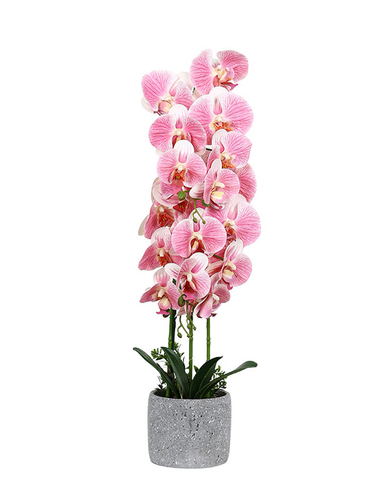 Marbled Pot Pink Faux Orchid 60cm