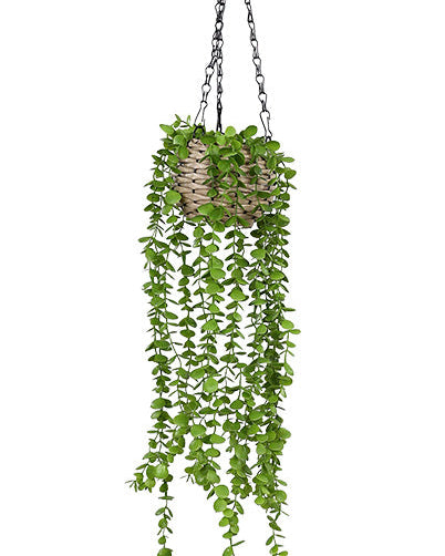 Hanging Woven Basket Potted Plant 90cm