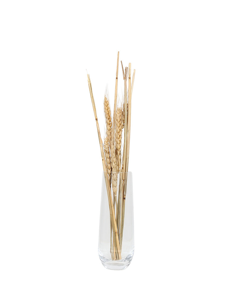 Slender Glass Vase 16cm