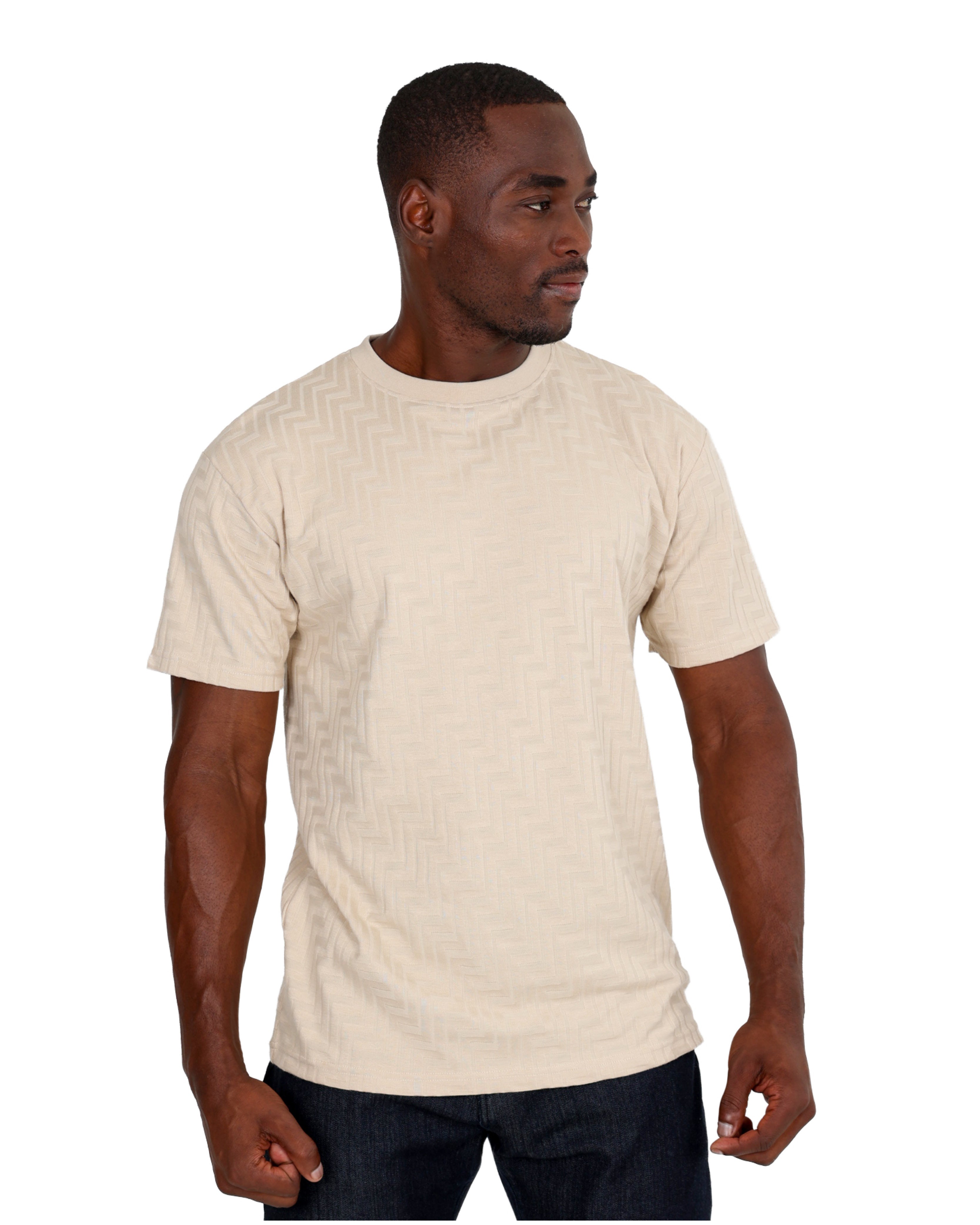 Short Sleeve Chevron Jacquard Design T-Shirt