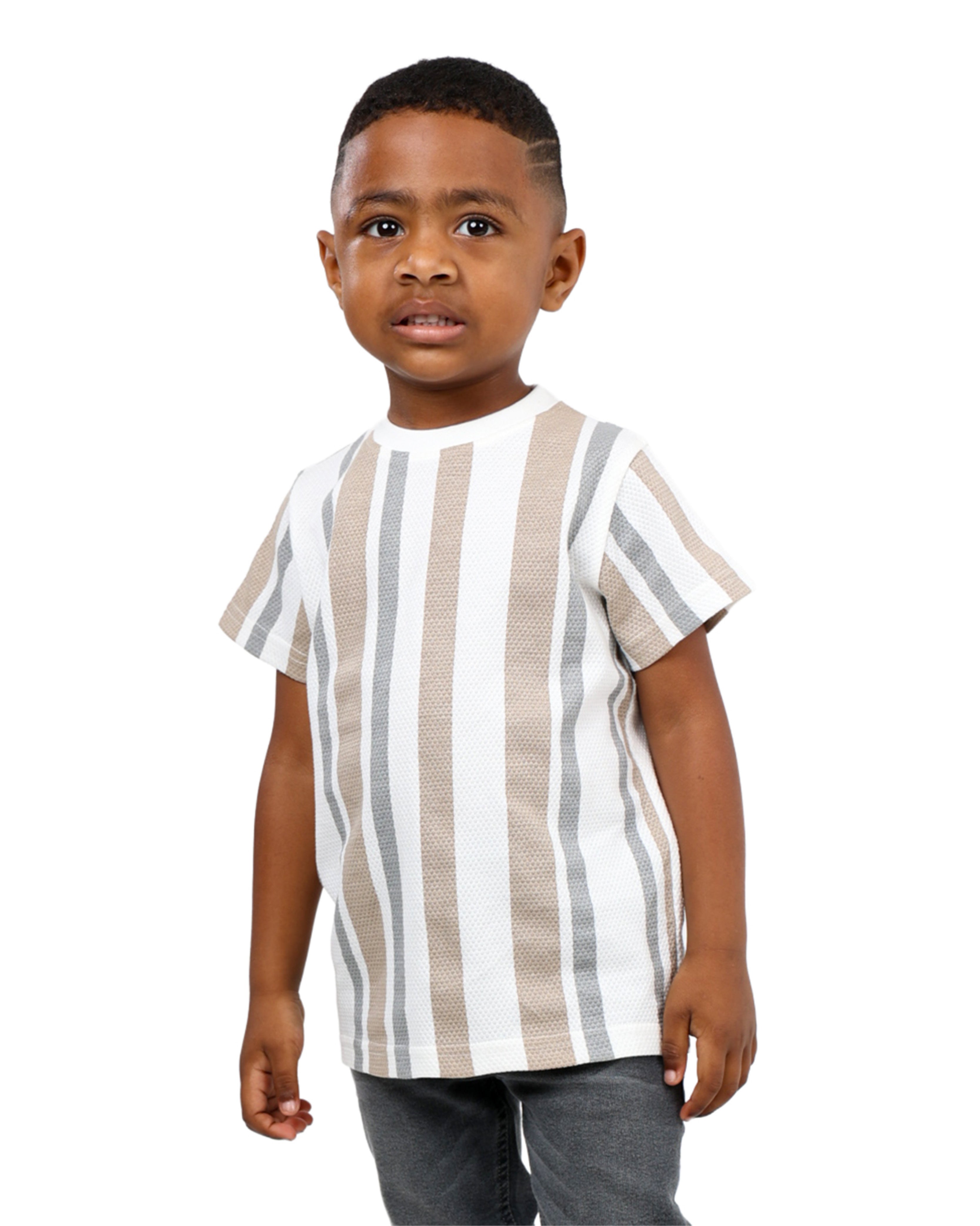 Short Sleeve Textured Stripe T-Shirt