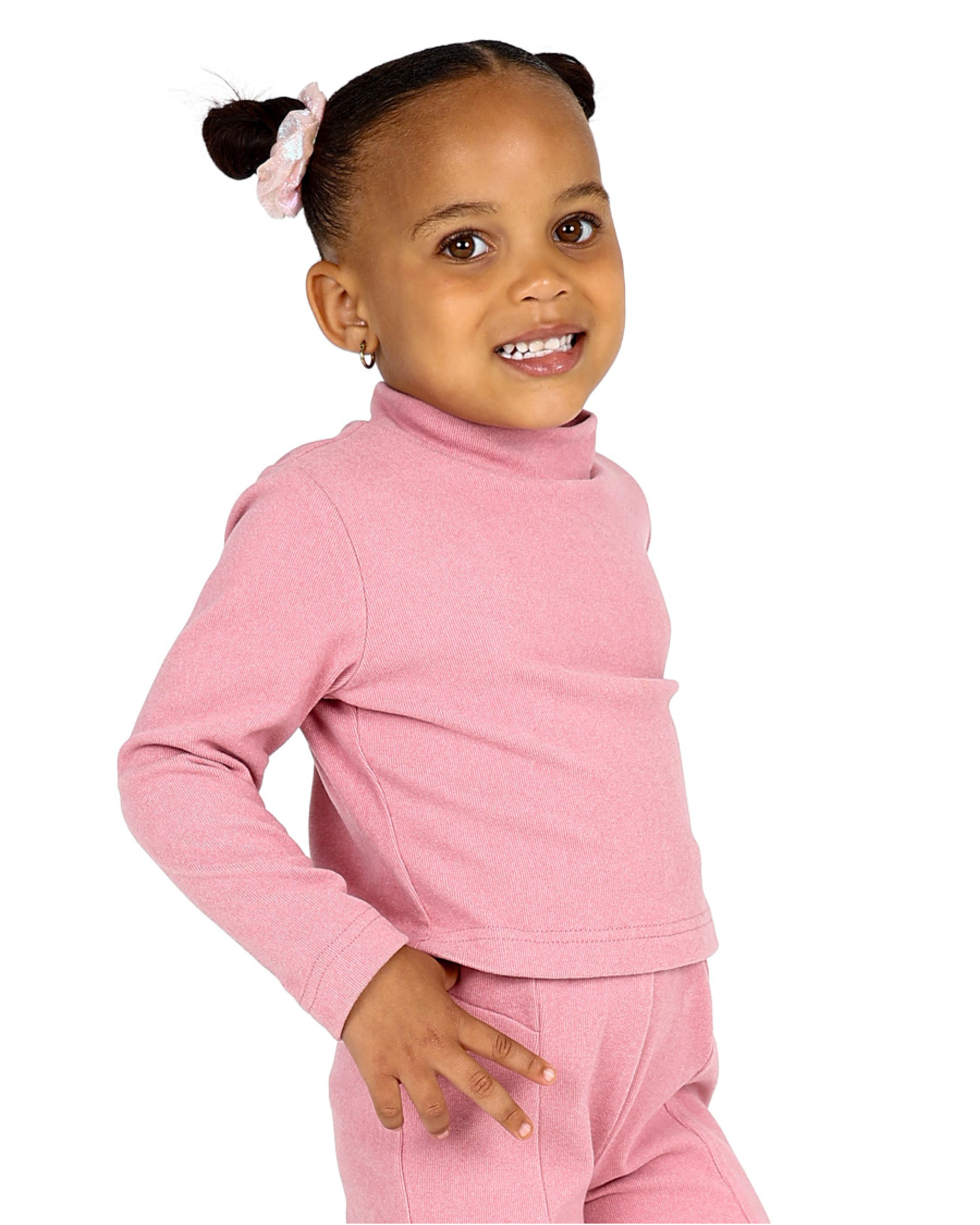 Pink Double Brushed Turtle Neck Crop Top