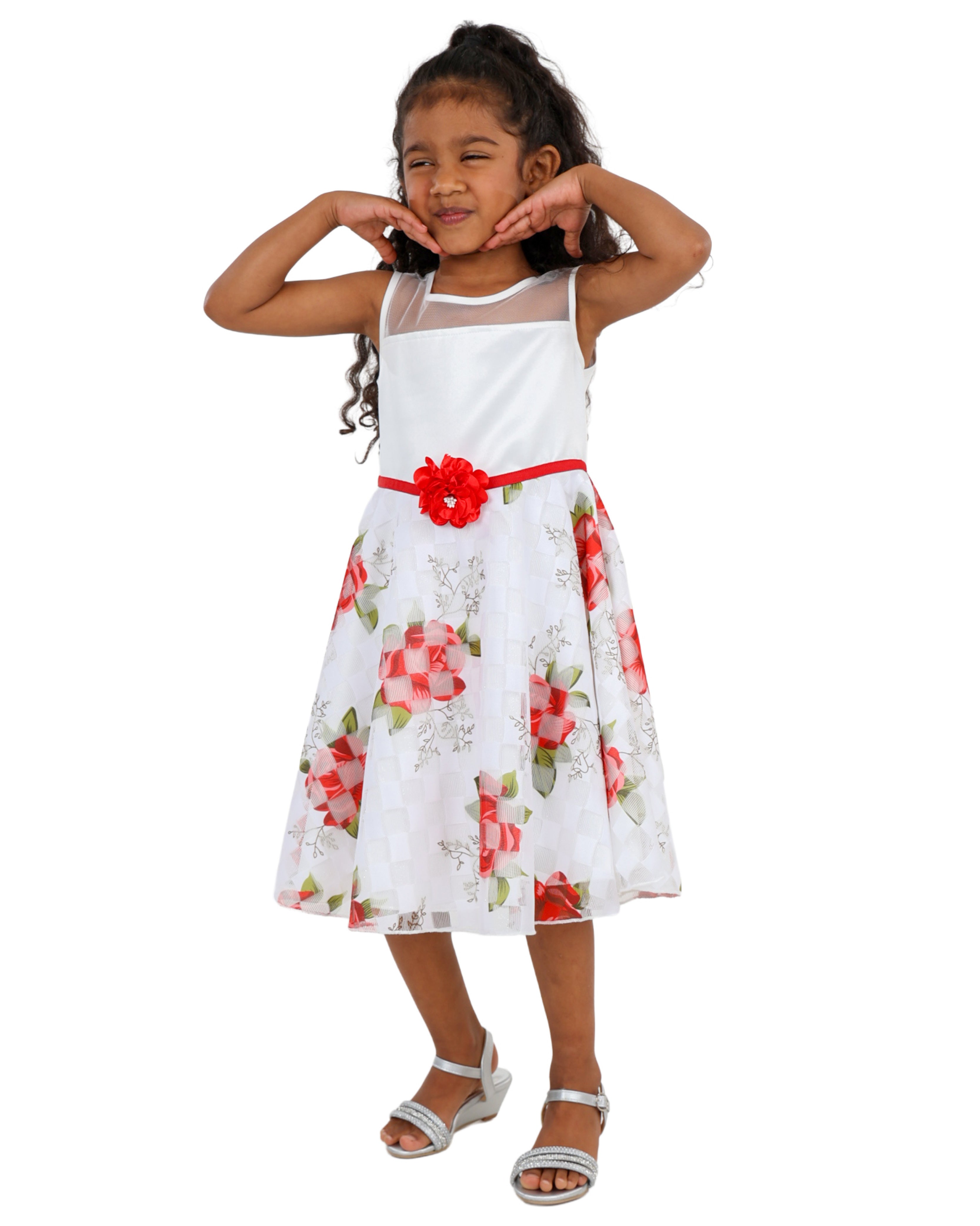 Sleeveless Rose Print Party Dress