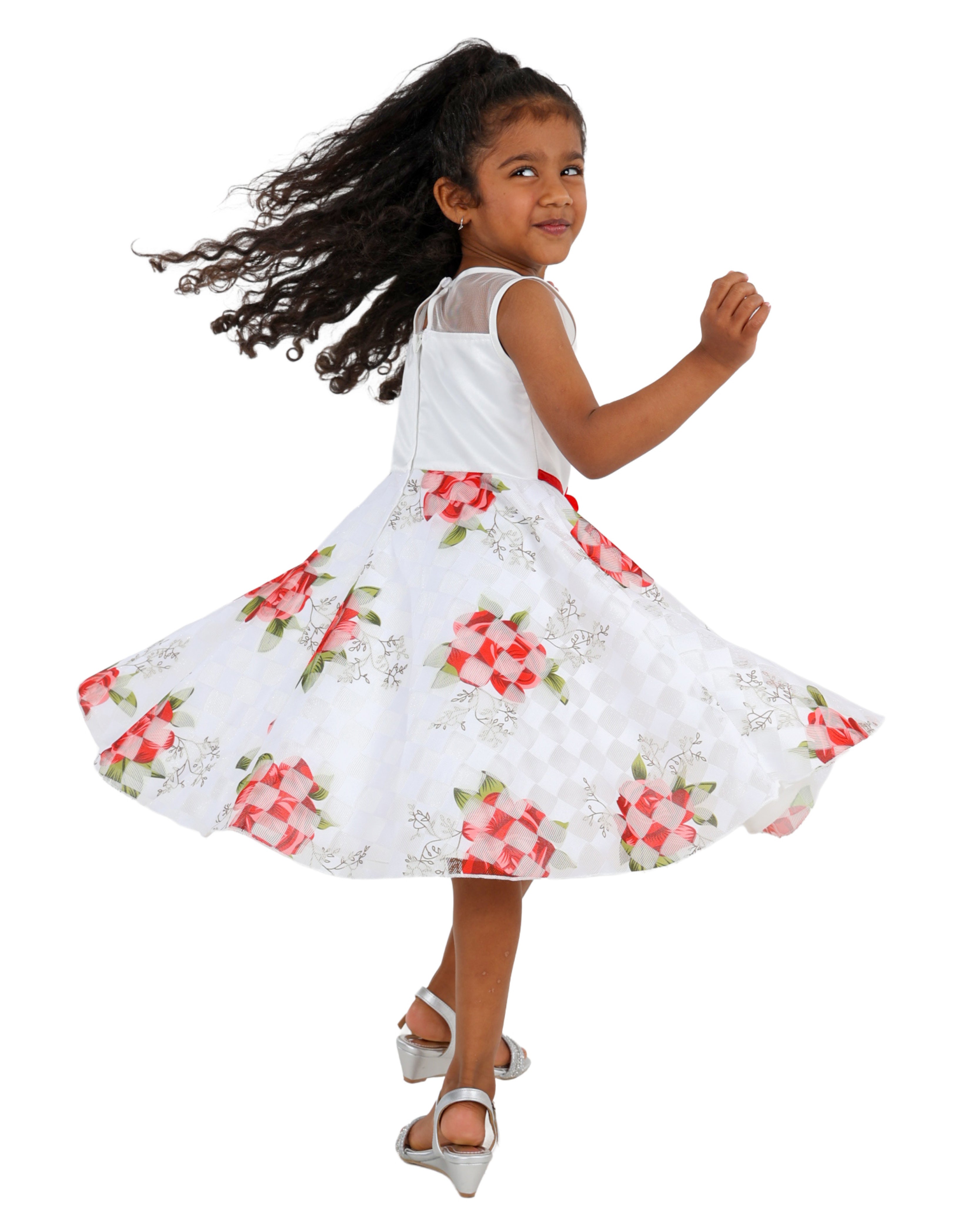 Sleeveless Rose Print Party Dress