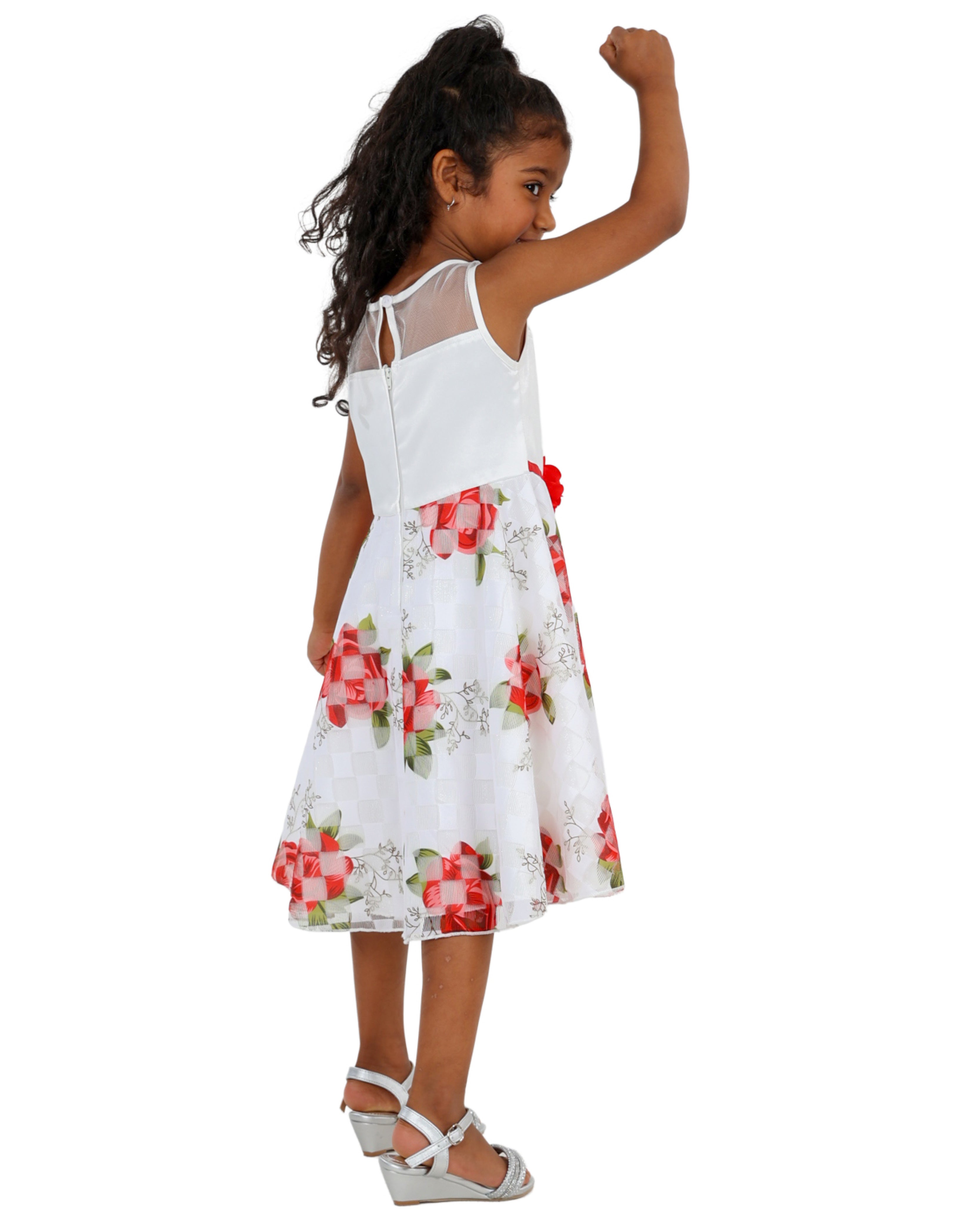 Sleeveless Rose Print Party Dress