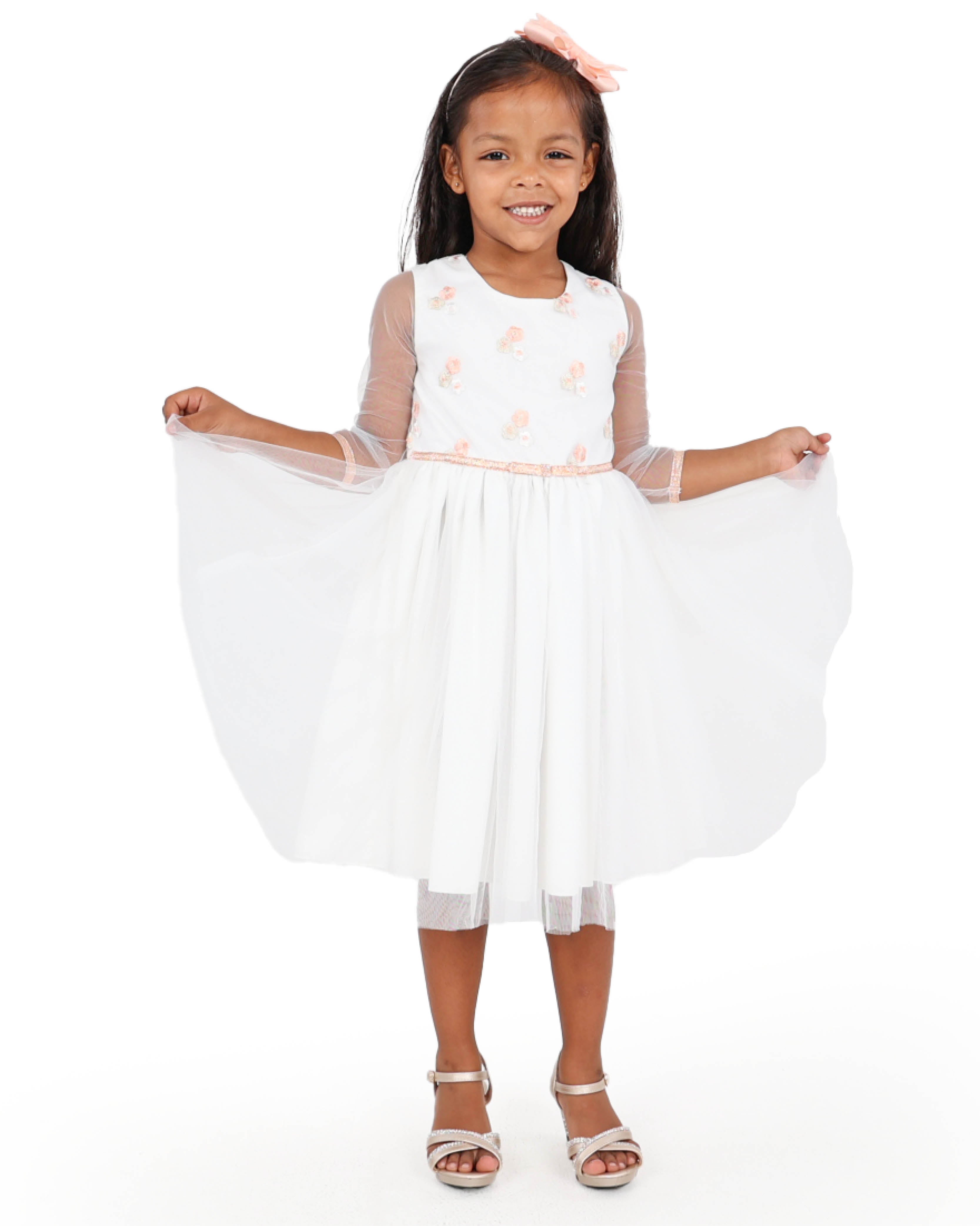 Embroidered Party Dress