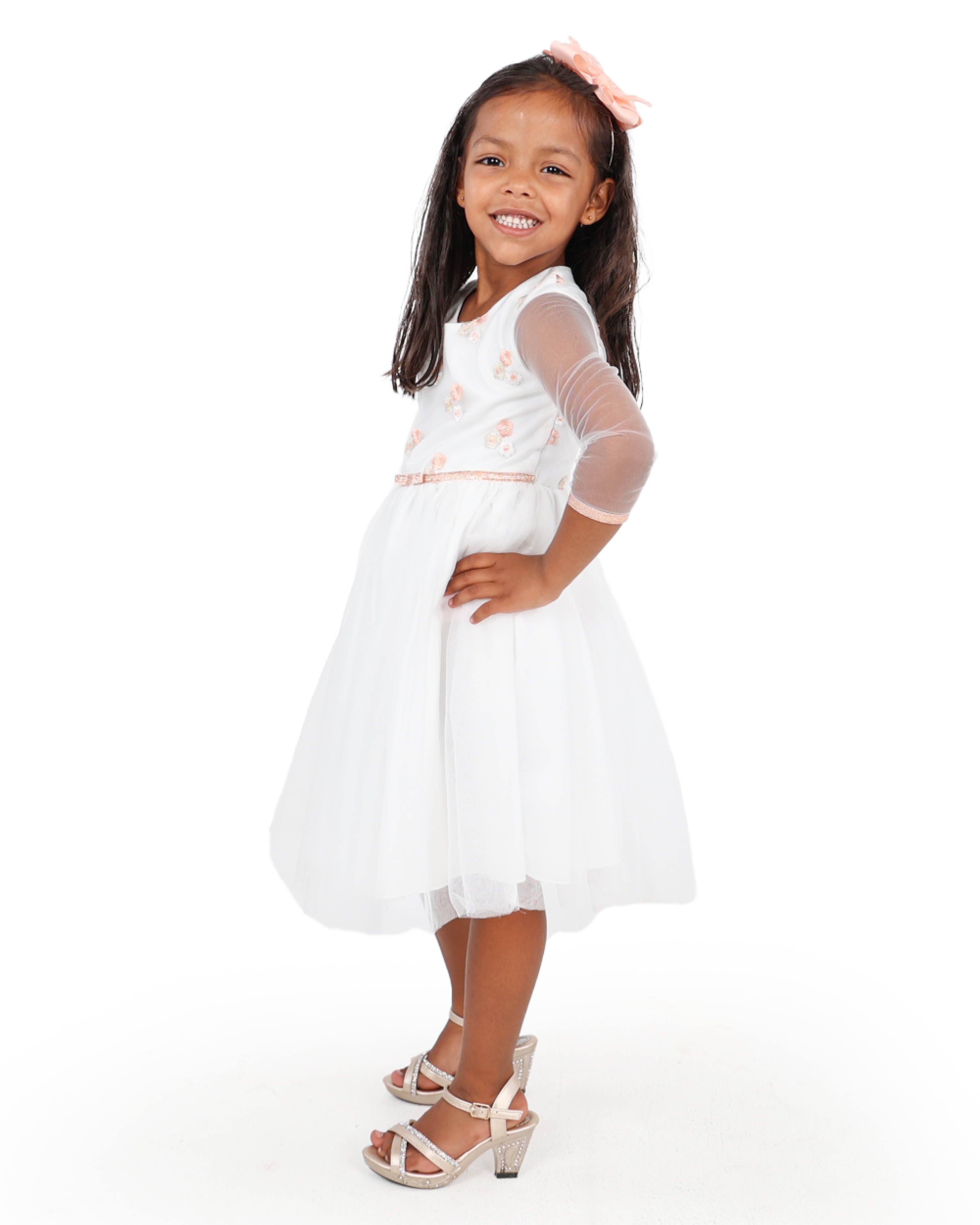 Embroidered Party Dress