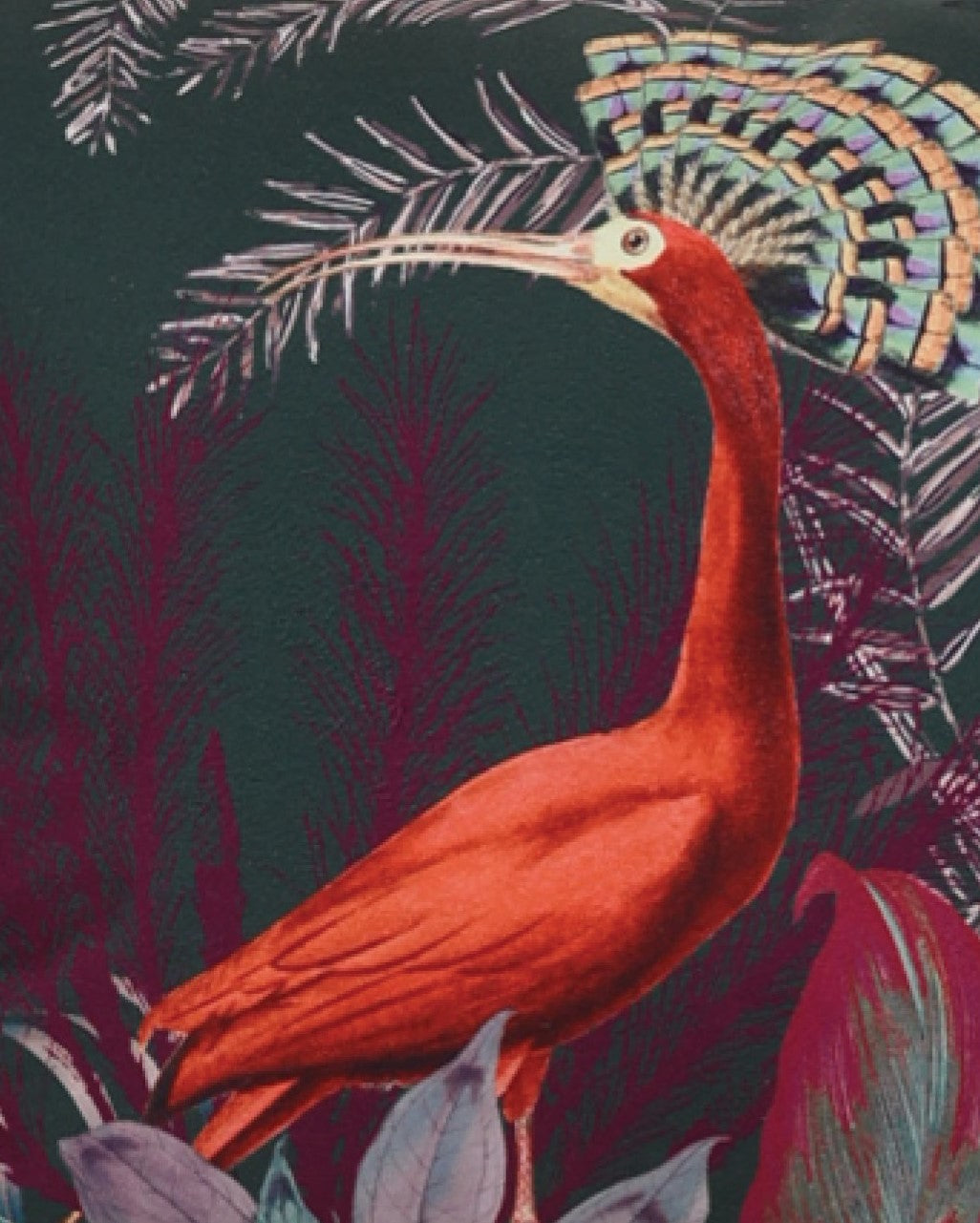 Peacock Print Scatter Cushion