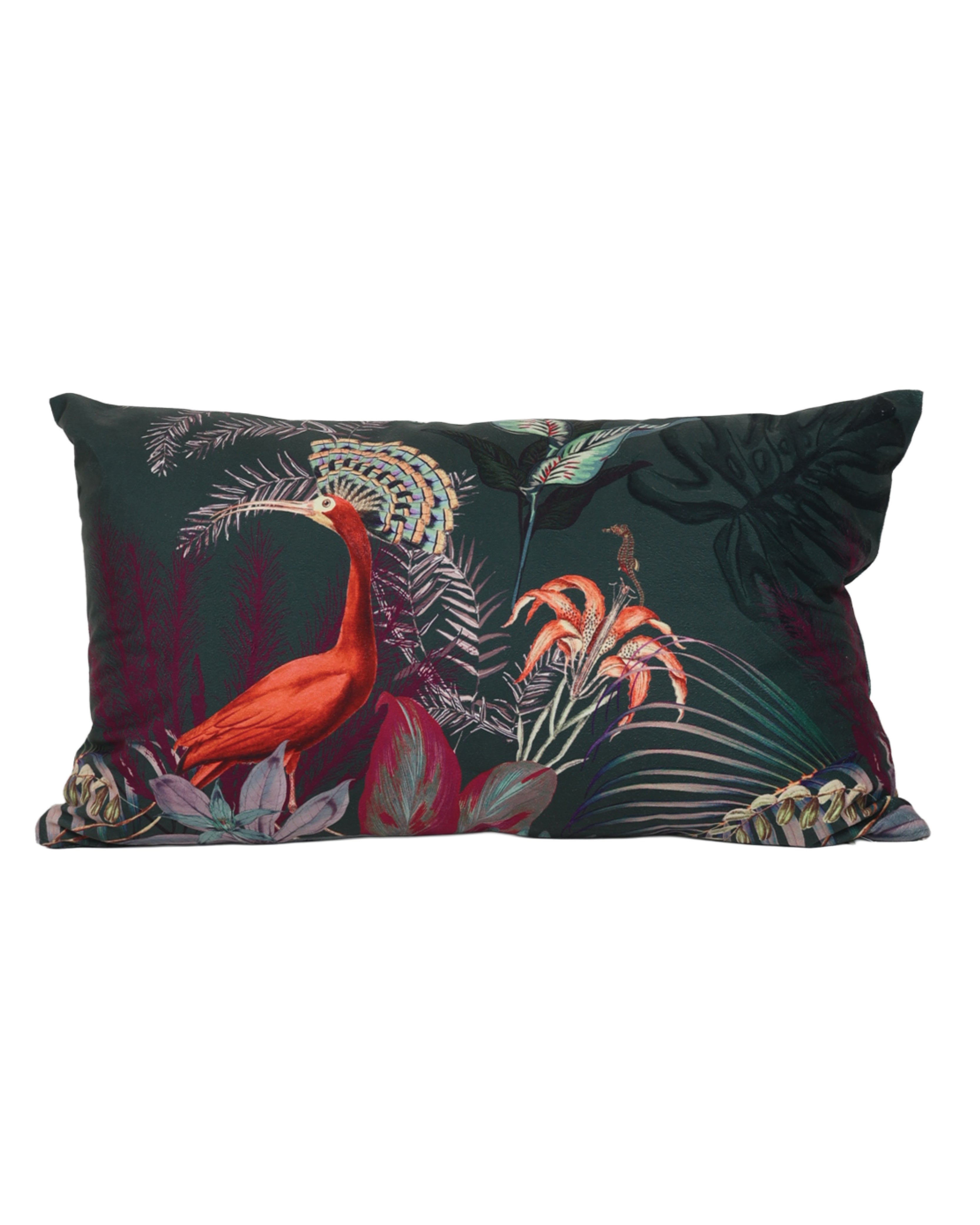 Peacock Print Scatter Cushion