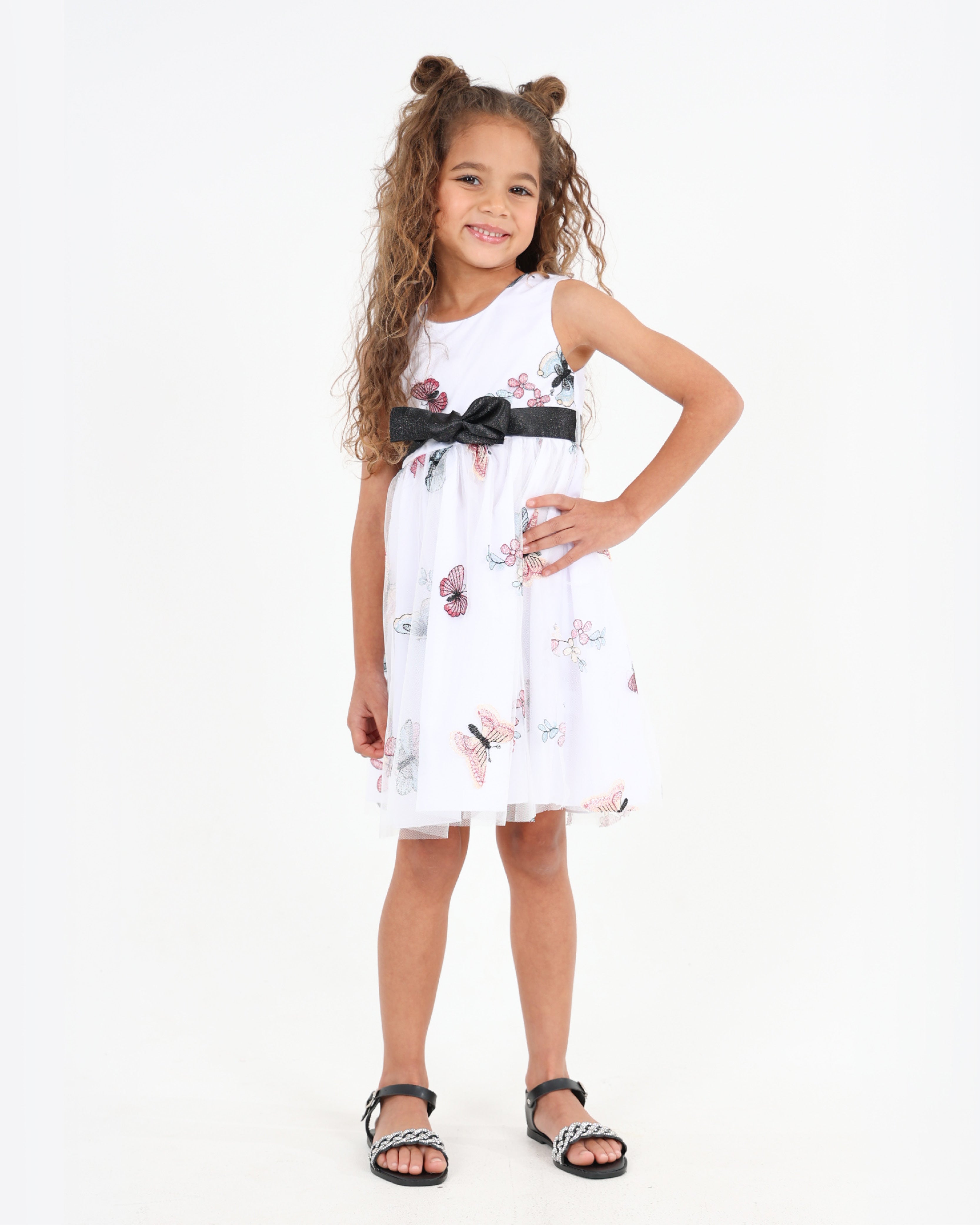 Sleeveless Butterfly Embroidered Mesh Party Dress