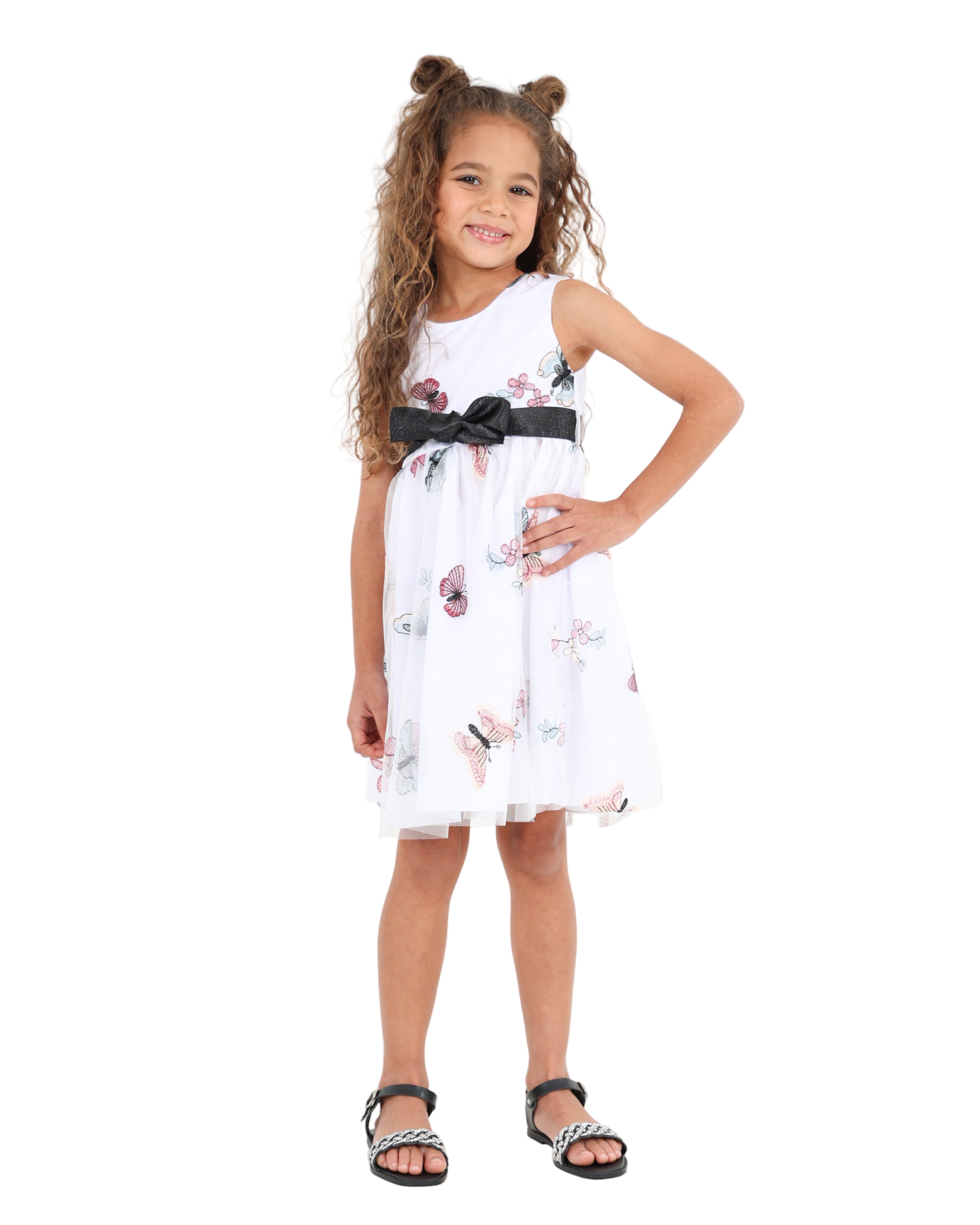 Sleeveless Butterfly Embroidered Mesh Party Dress