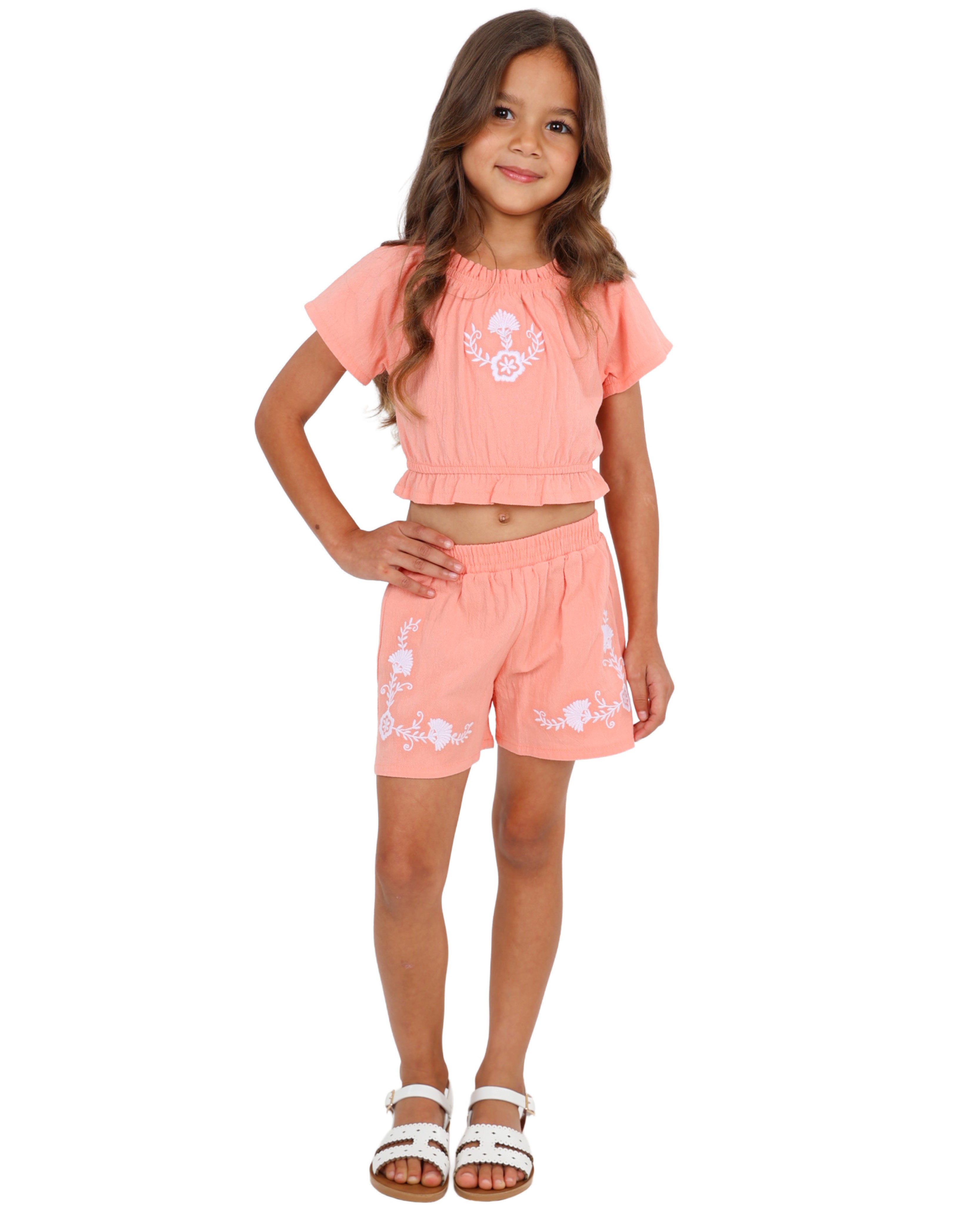 Embroidered Short Sleeve Blouse and Shorts Set