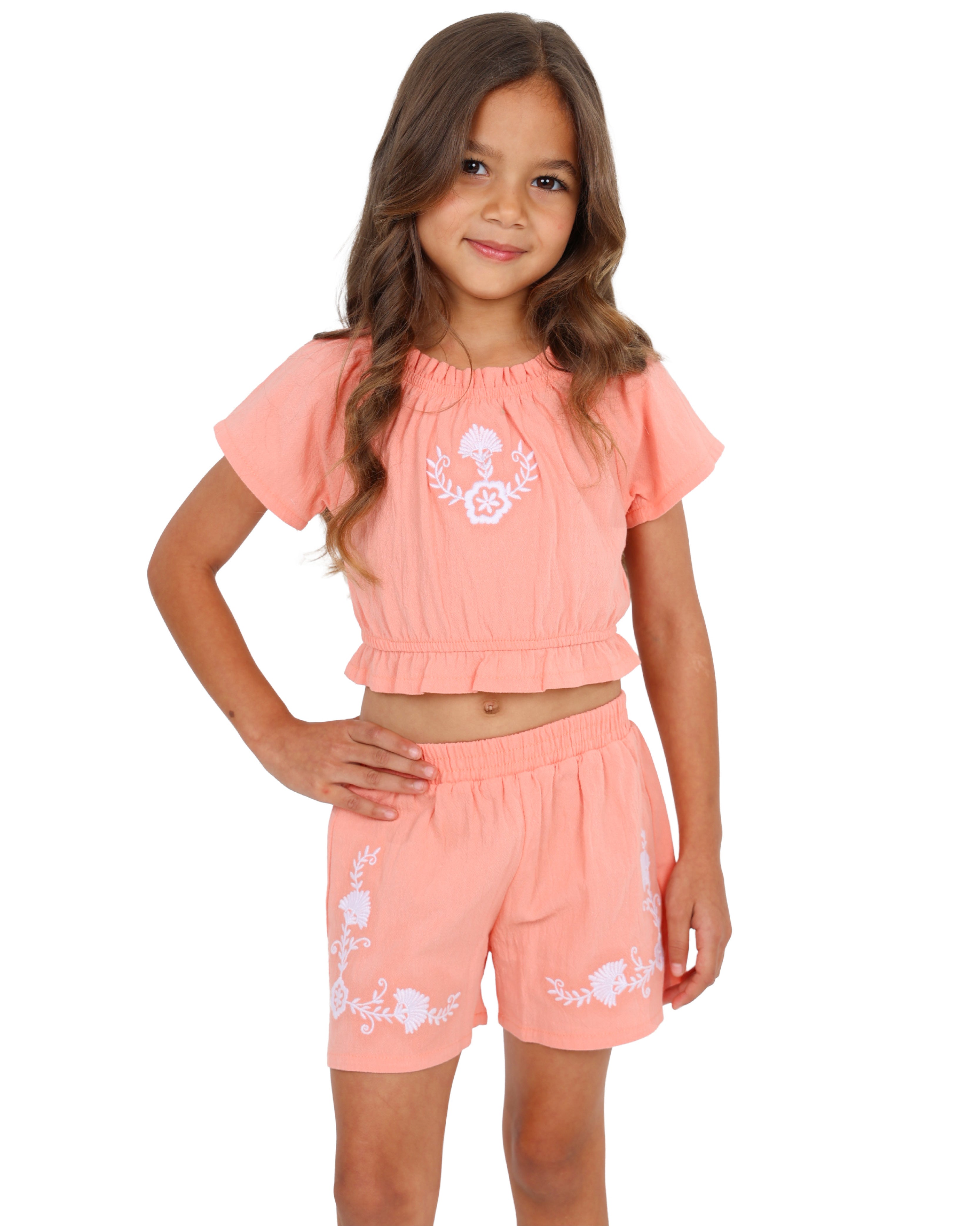 Embroidered Short Sleeve Blouse and Shorts Set