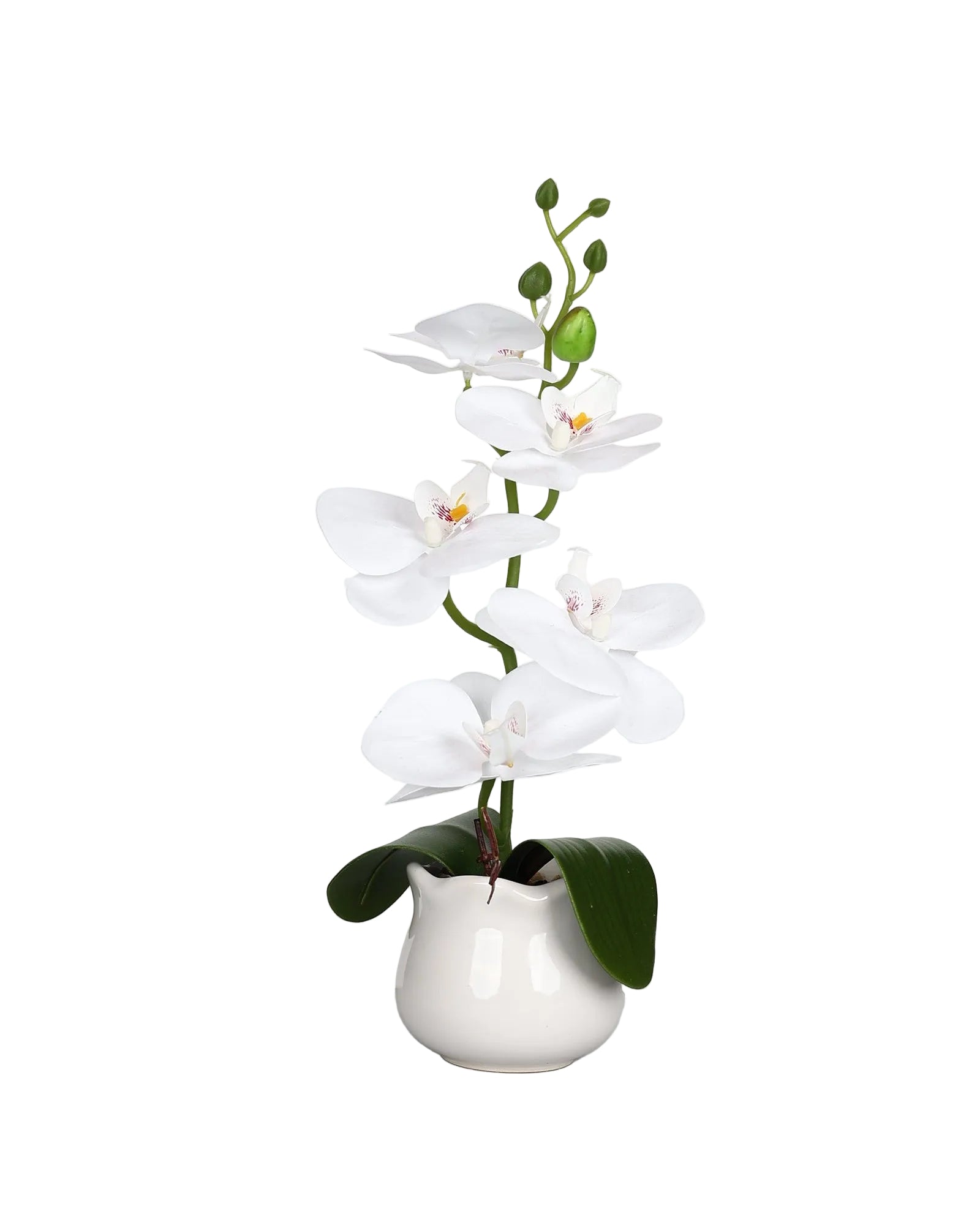 White Single Stem 40cm Orchid