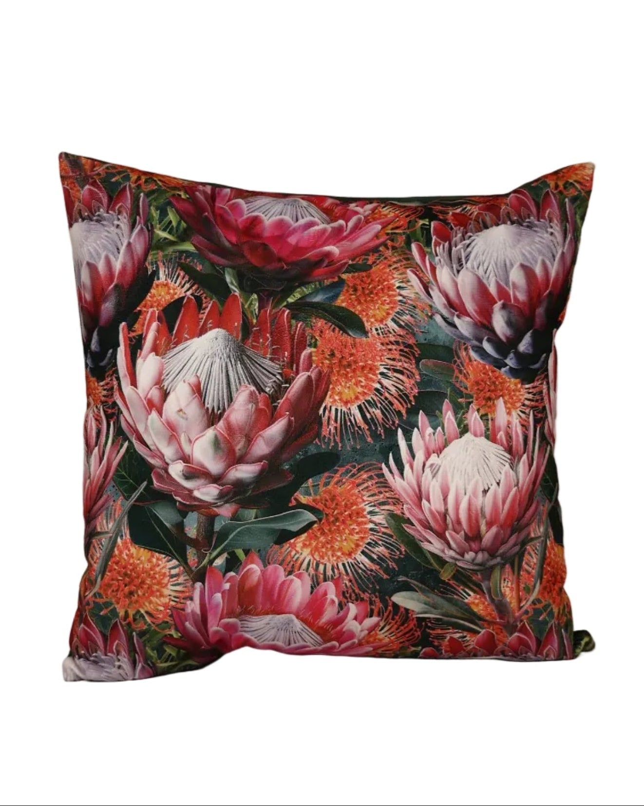 Velvet Pincushion Protea Scatter Cushion