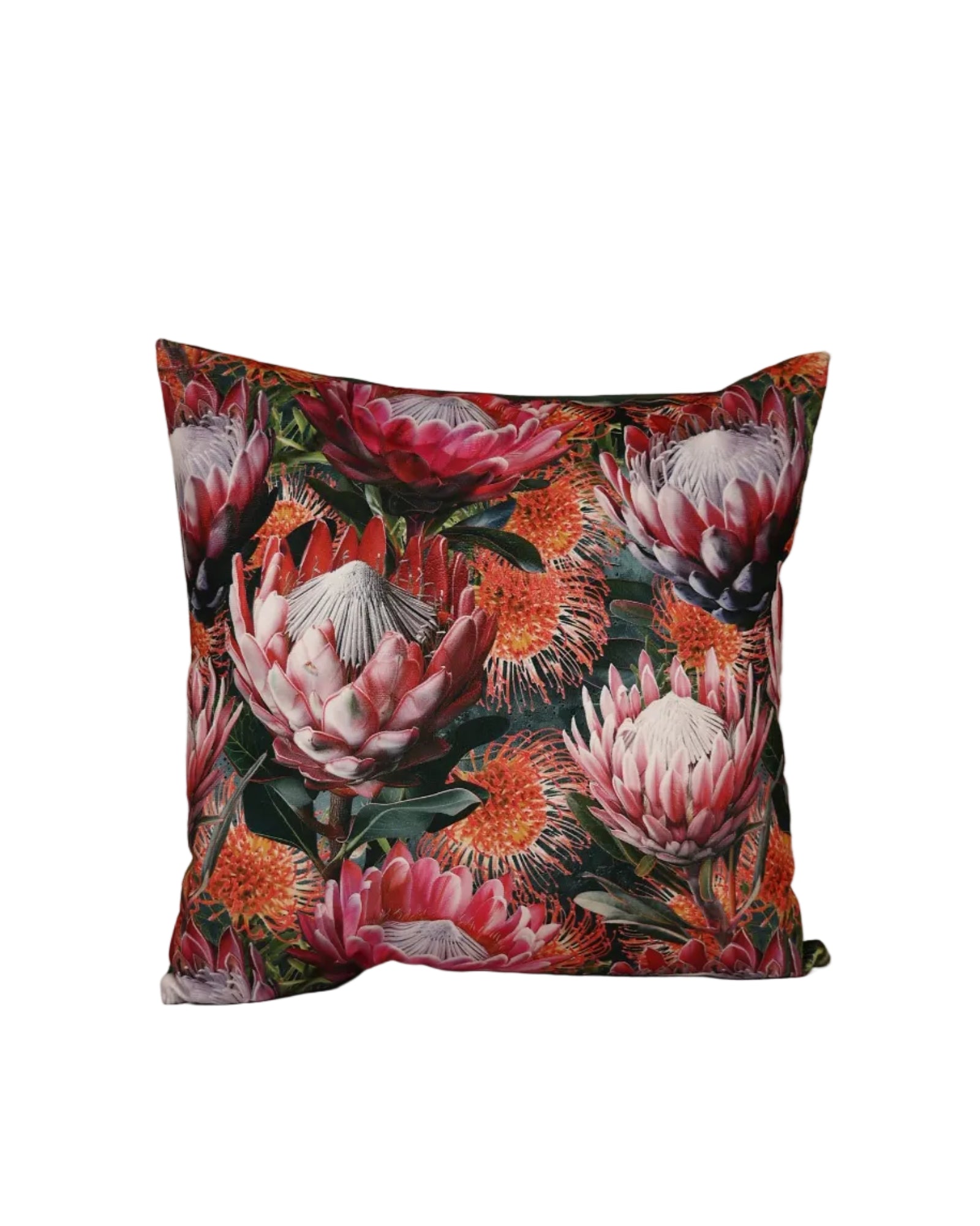 Velvet Pincushion Protea Scatter Cushion