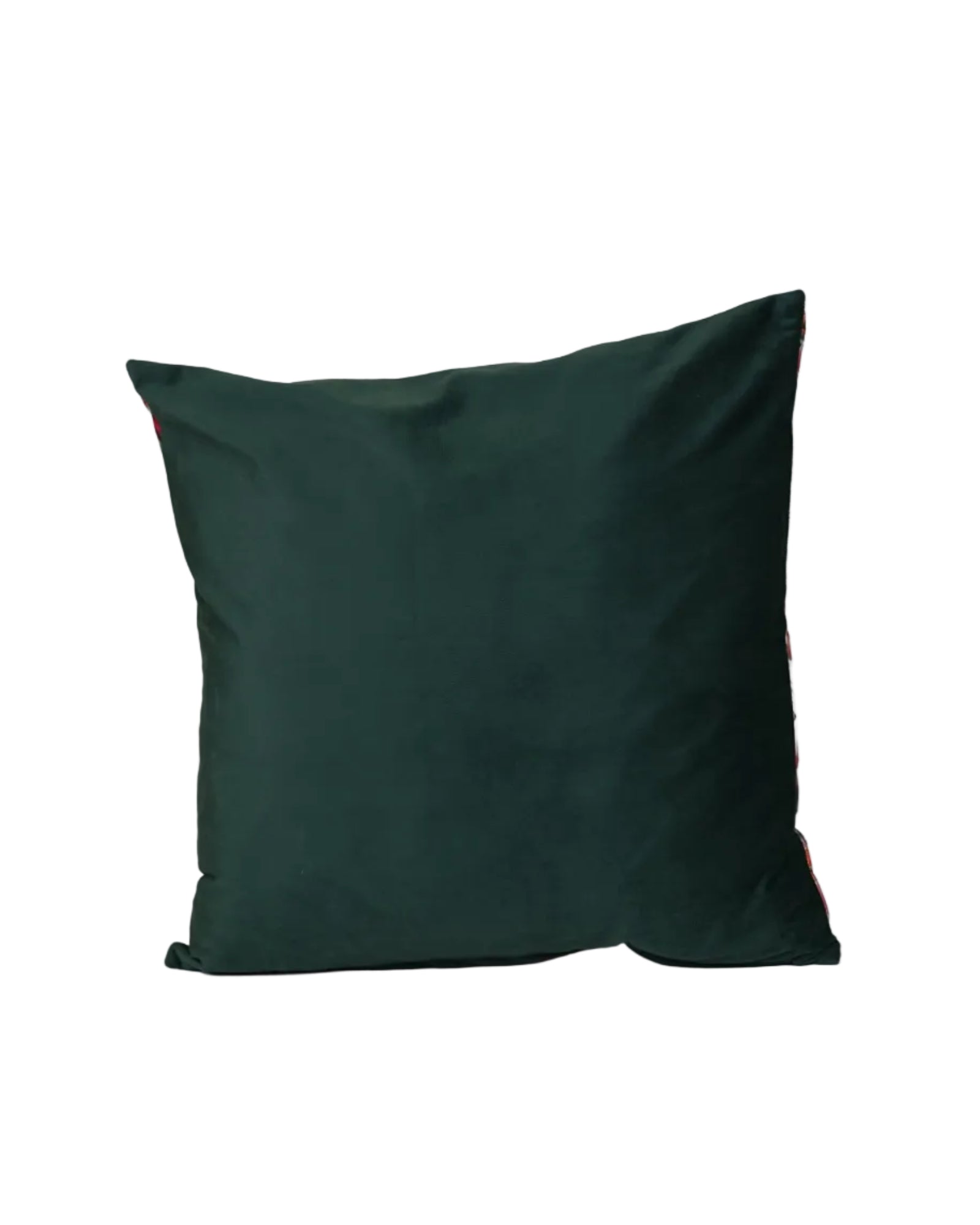 Velvet Pincushion Protea Scatter Cushion