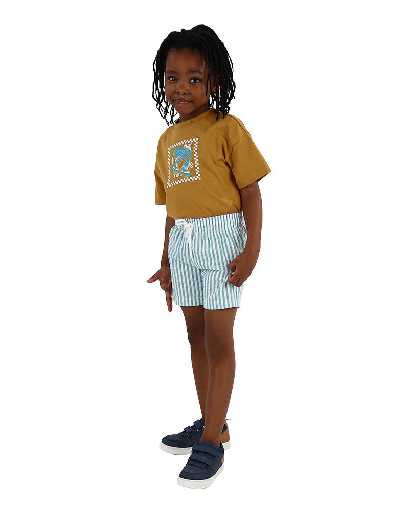 Green & White Stripe Cotton Pull Up Shorts