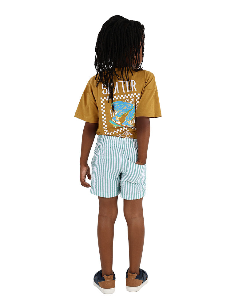 Green & White Stripe Cotton Pull Up Shorts