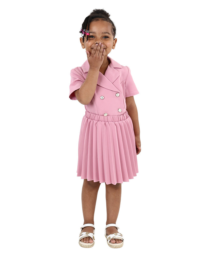 Knee Length Pleated Skirt