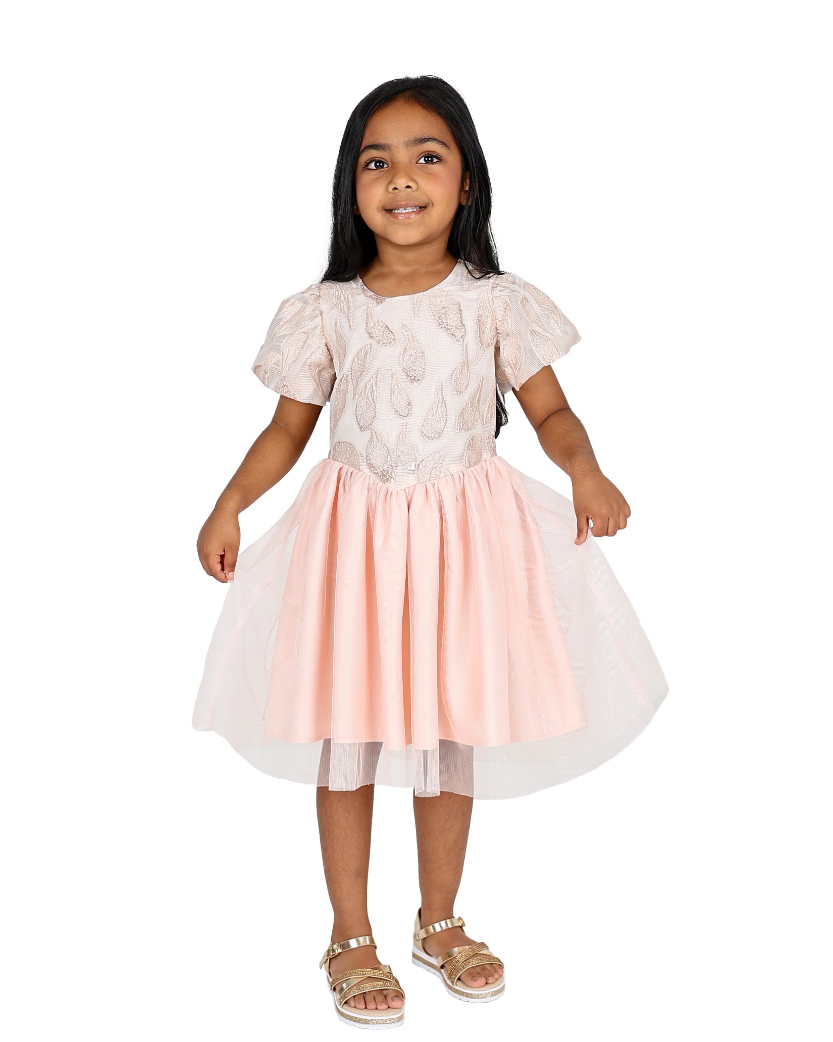Short Sleeve Brocade Detail Tulle Party Dress