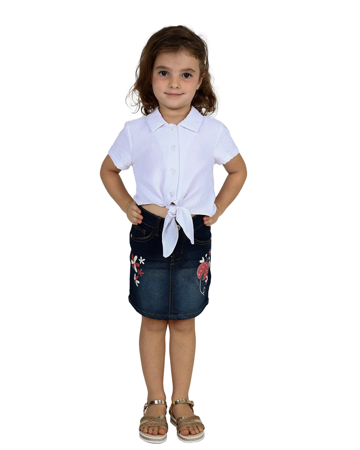 Snow Wash Lady Bug Graphic Print Denim Skirt