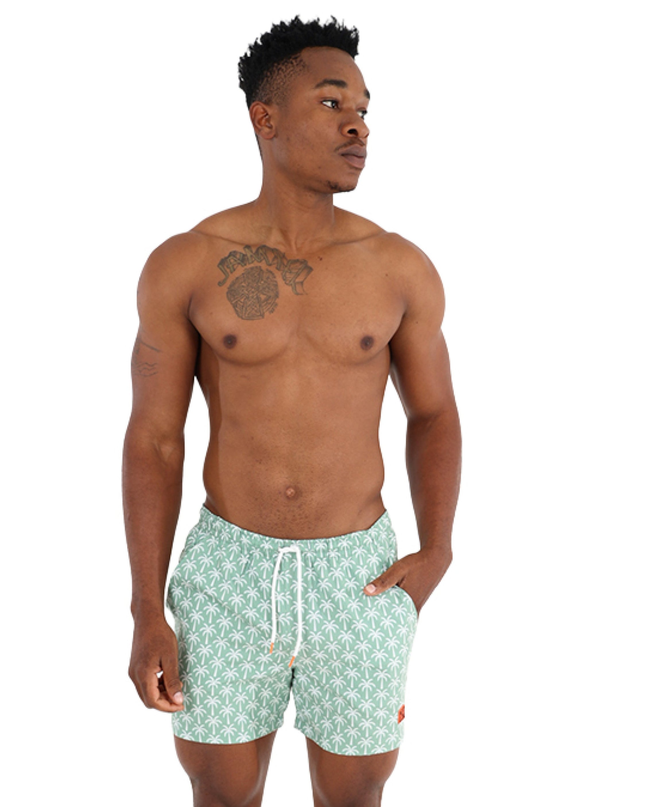 Large Palm Print Swim Shorts