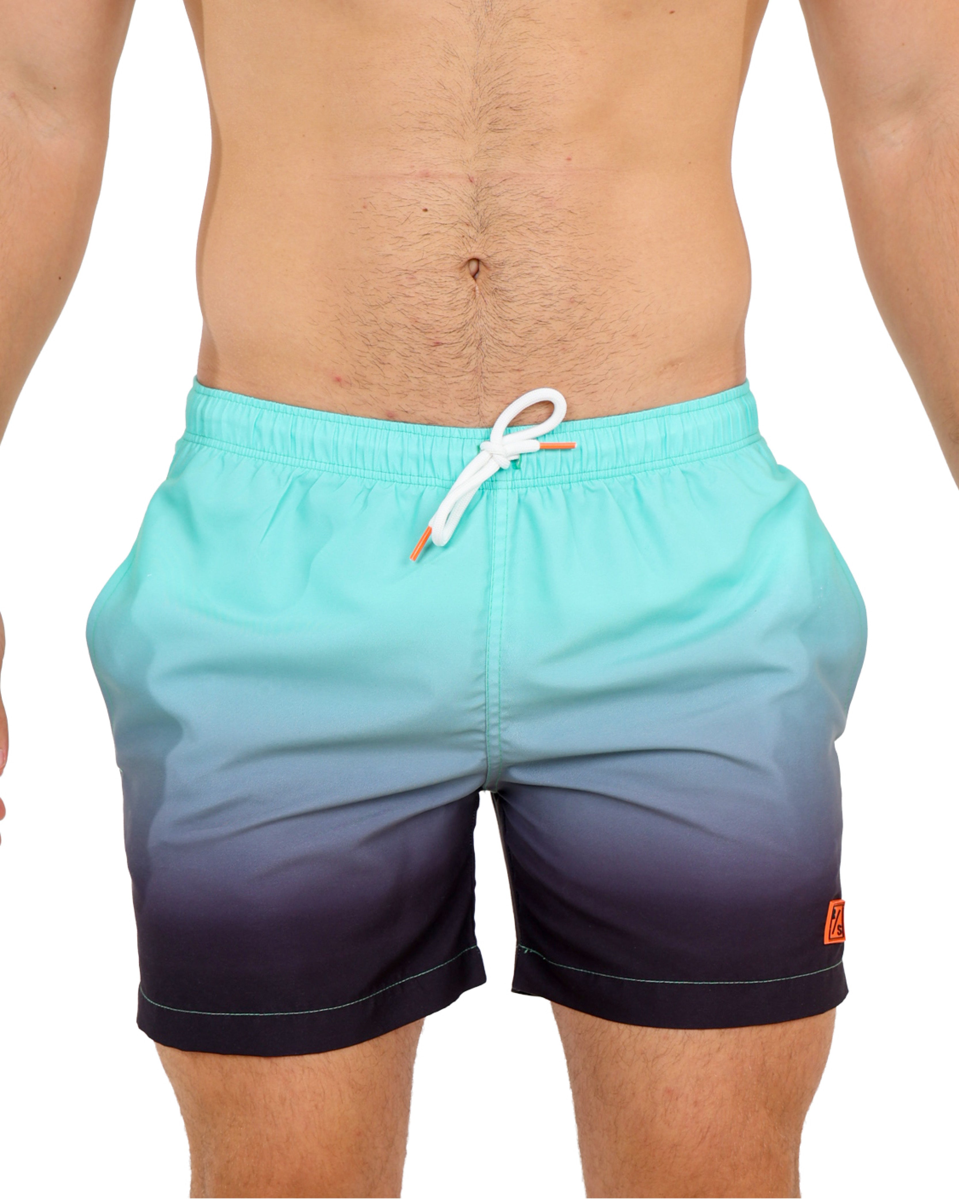 Mint Ombre Swim Shorts