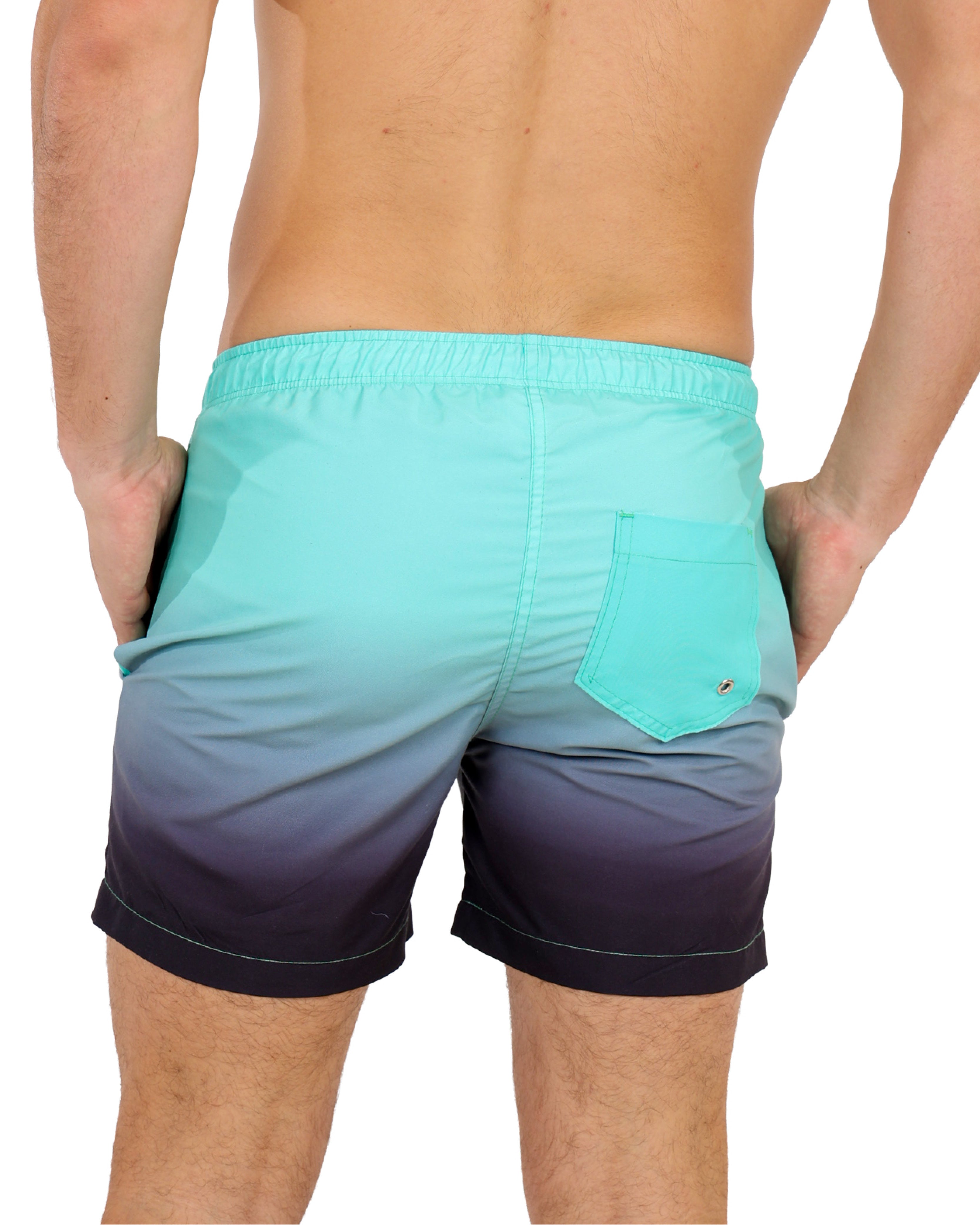 Mint Ombre Swim Shorts