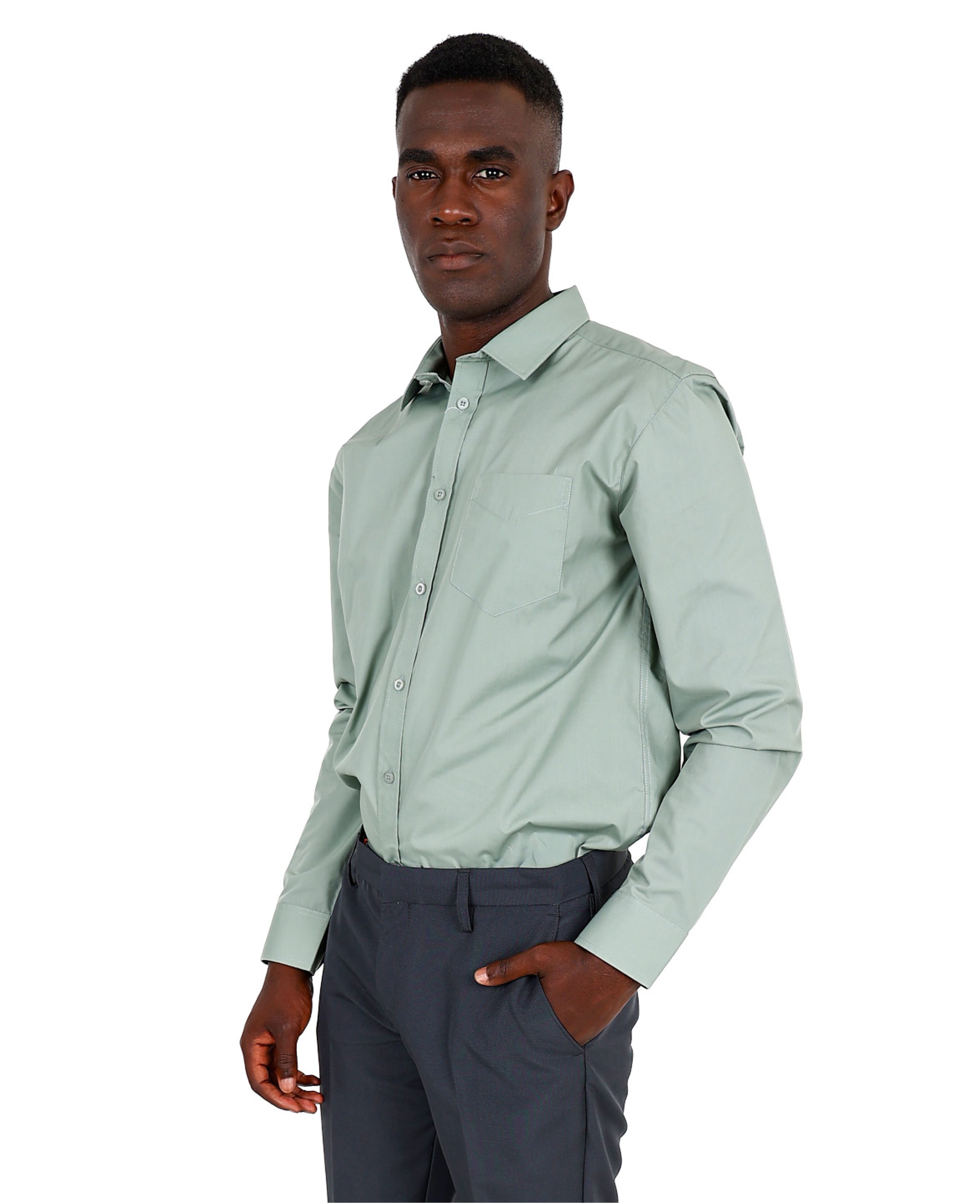 Sage Chambray Long Sleeve Classic Formal Shirt