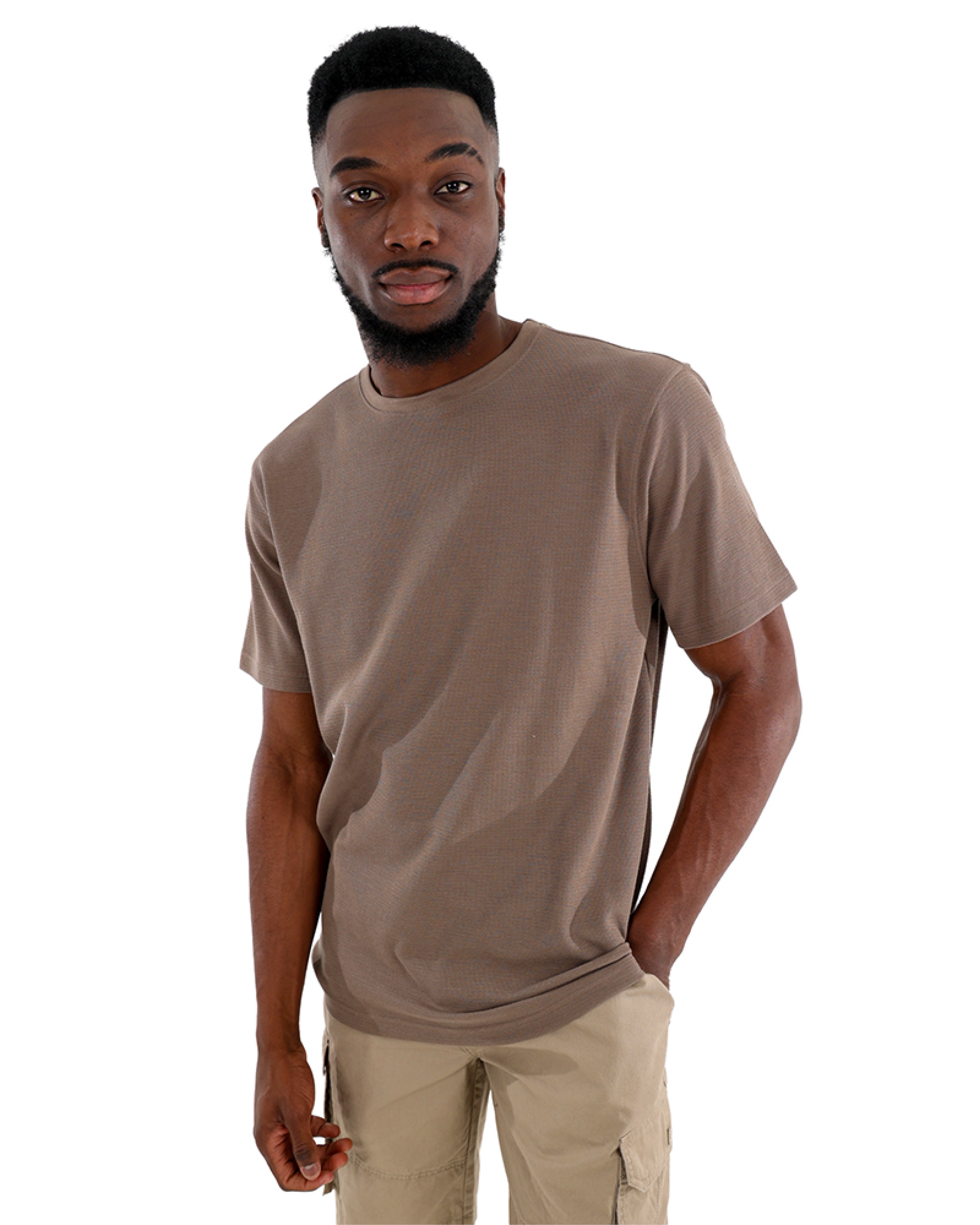 Short Sleeve Textured Taupe Crew Neck T-Shirt