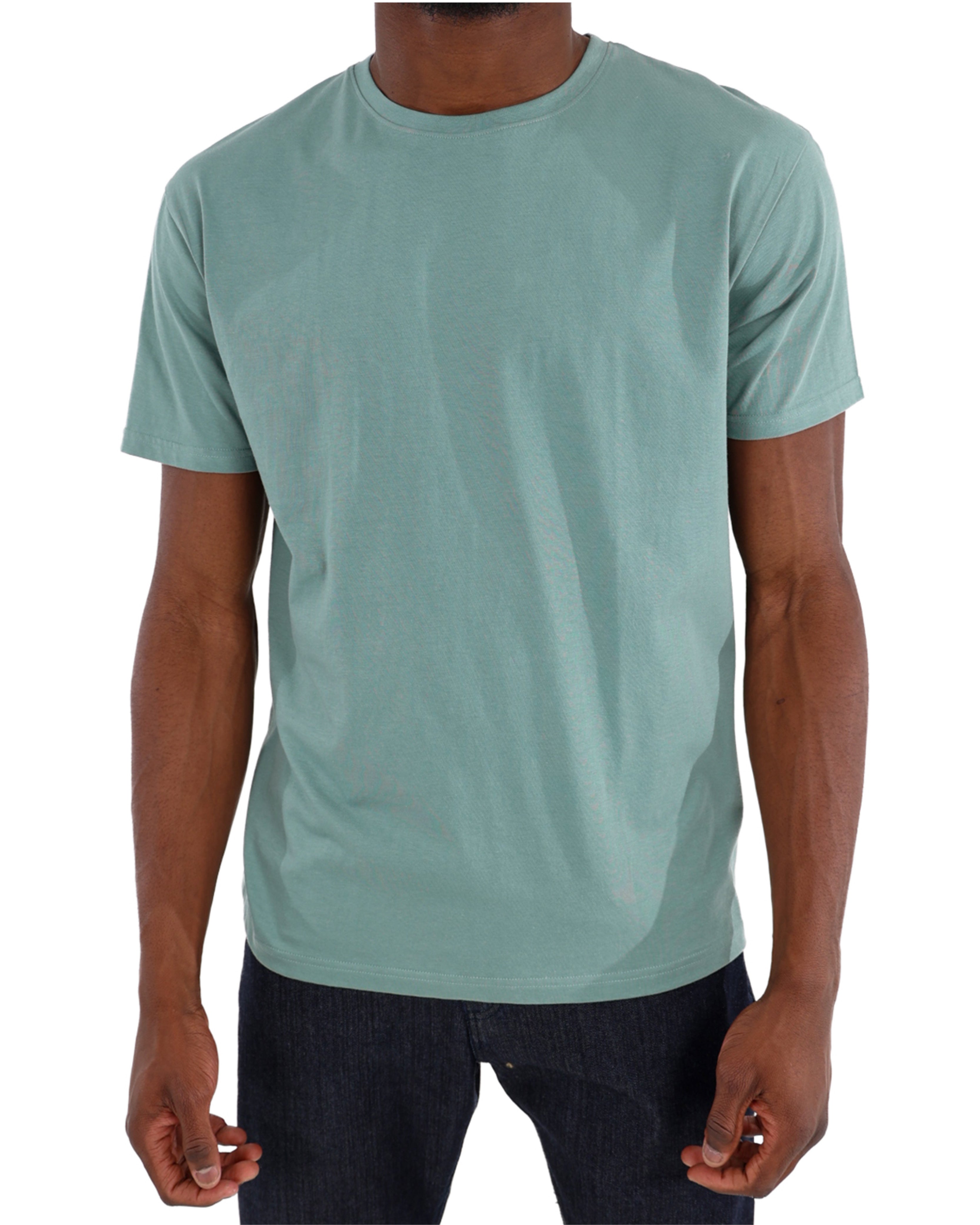 Short Sleeve Textured Sage Crew Neck T-Shirt