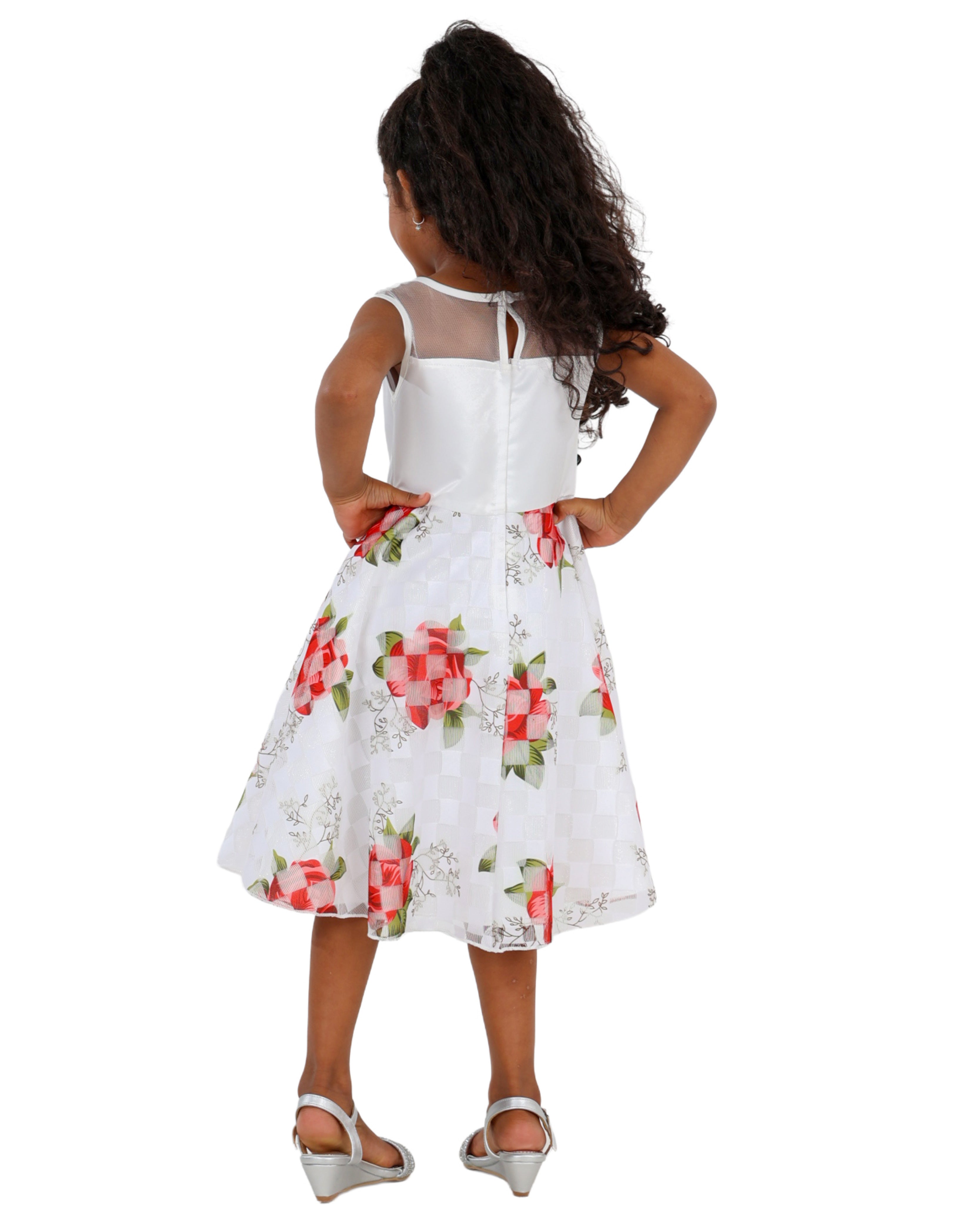 Sleeveless Rose Print Party Dress