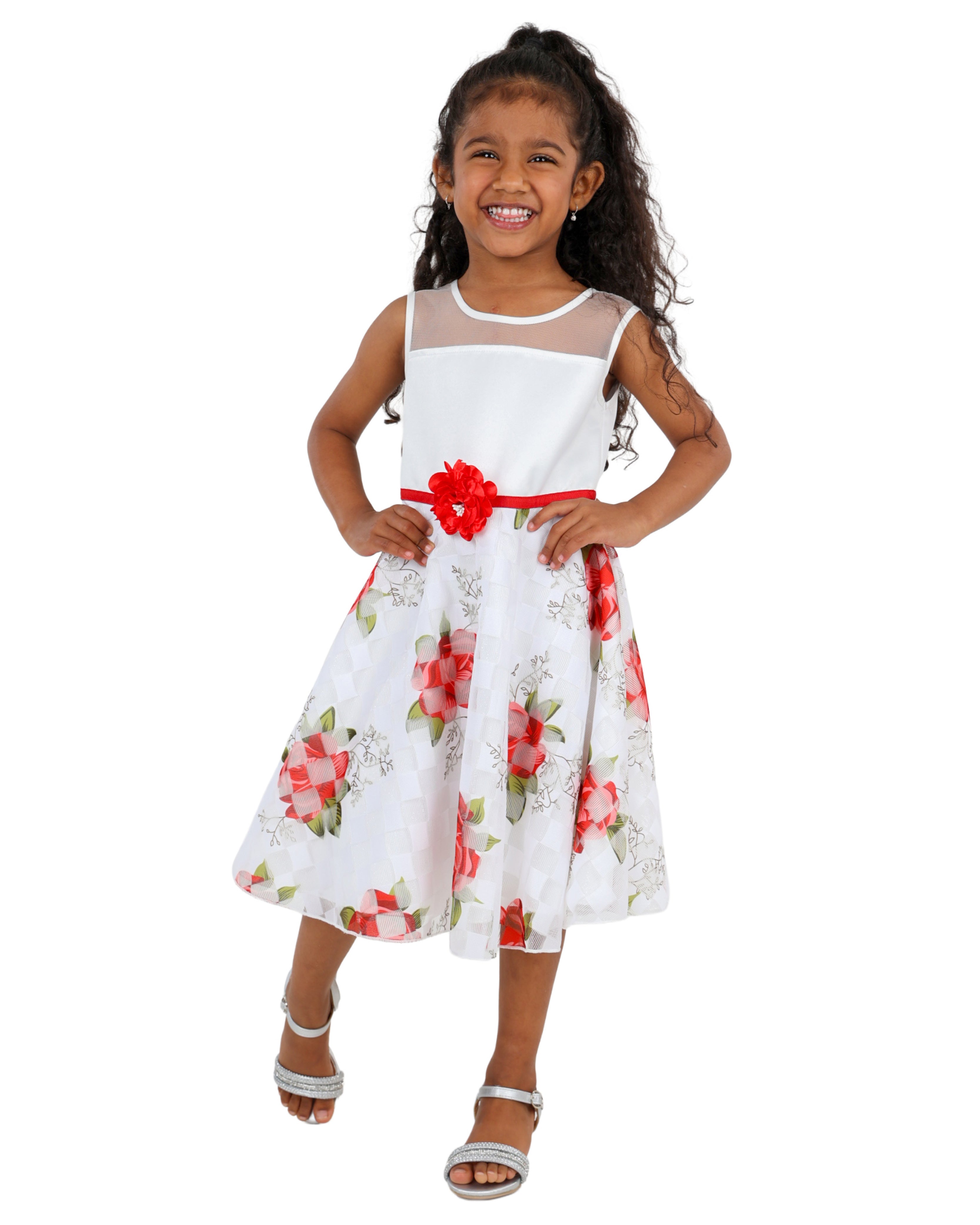 Sleeveless Rose Print Party Dress