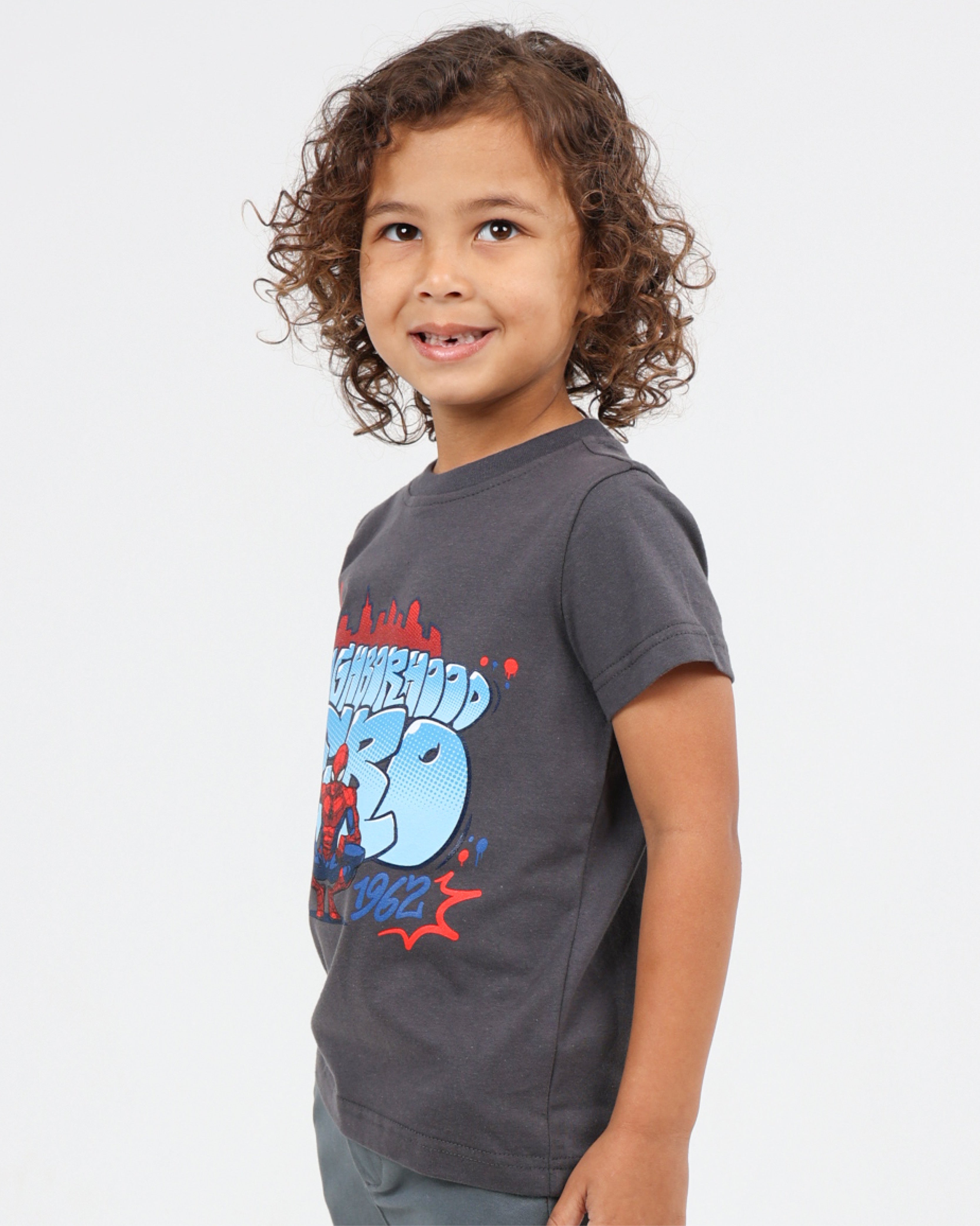 Small Boys Spiderman T-Shirt