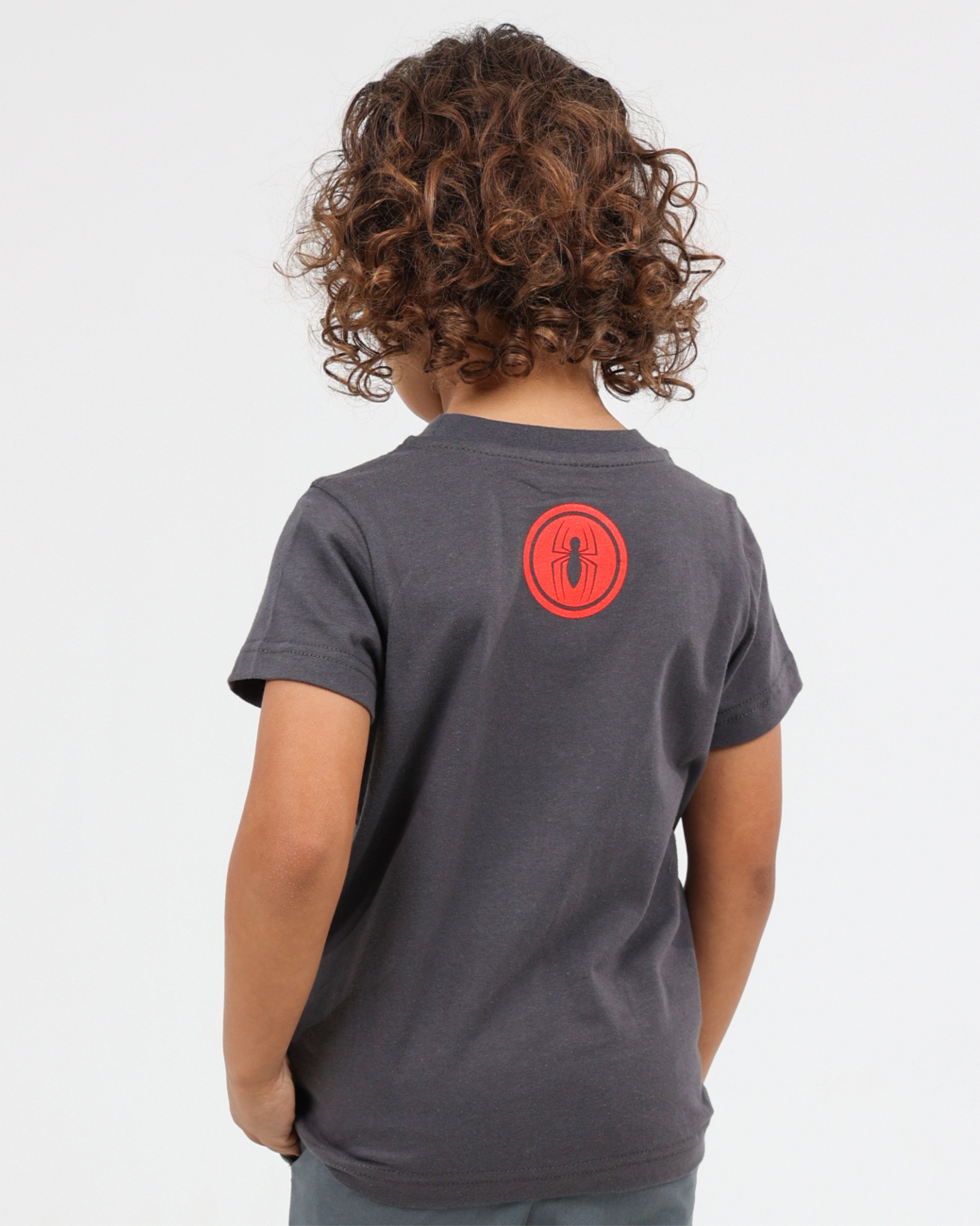 Small Boys Spiderman T-Shirt